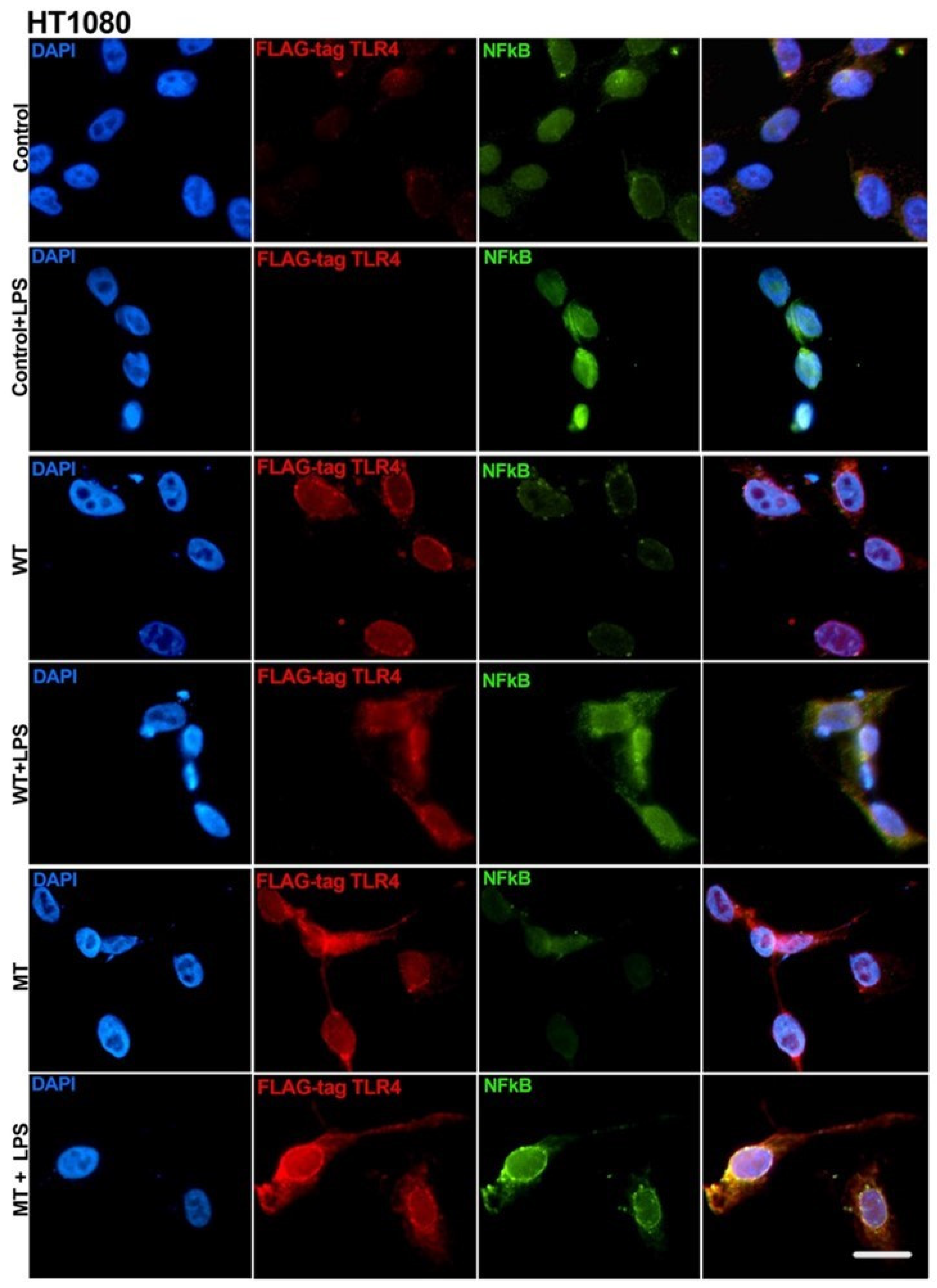 Biology 14 00894 g006