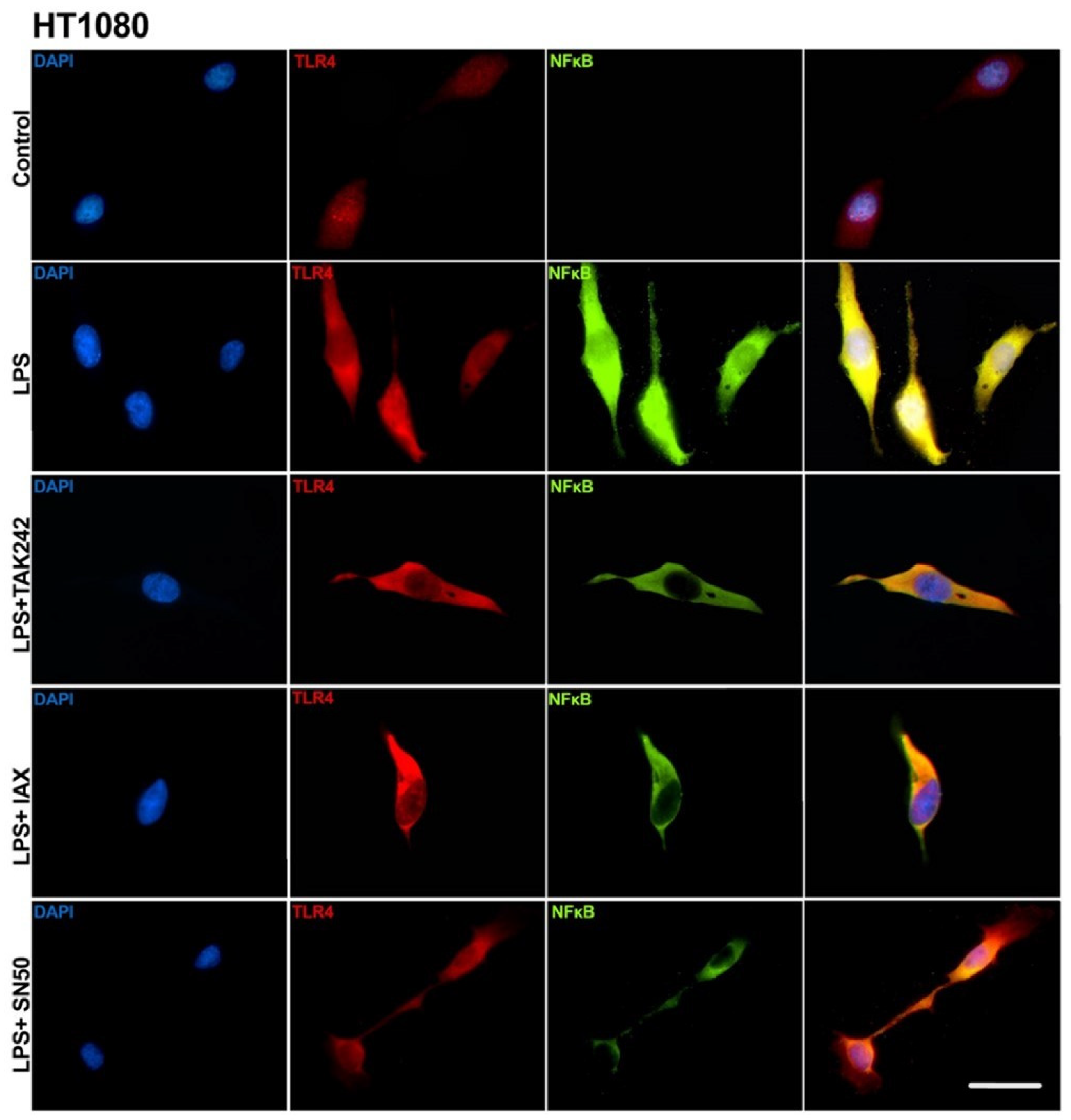 Biology 14 00894 g008