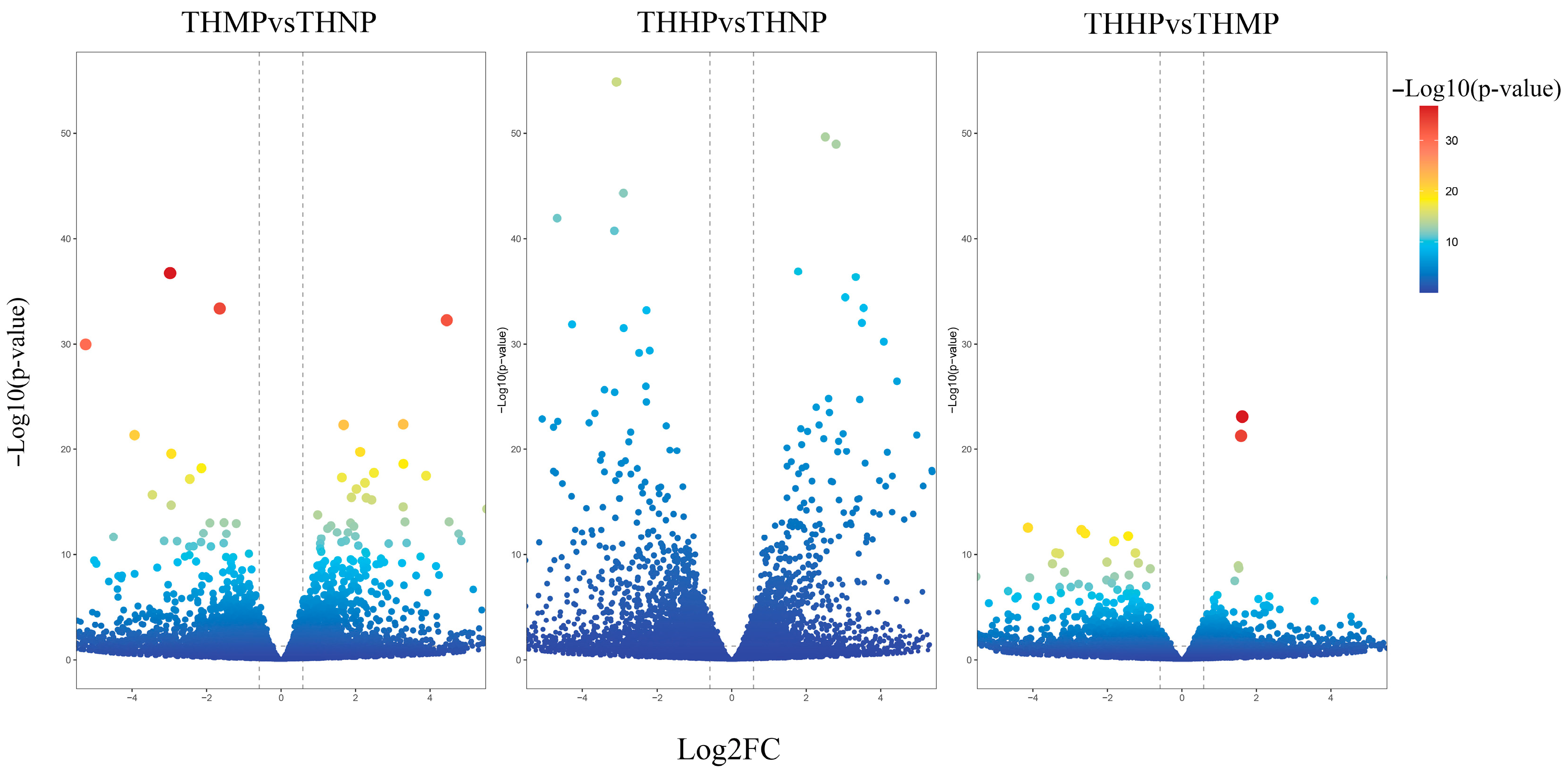 Biology 14 00898 g001
