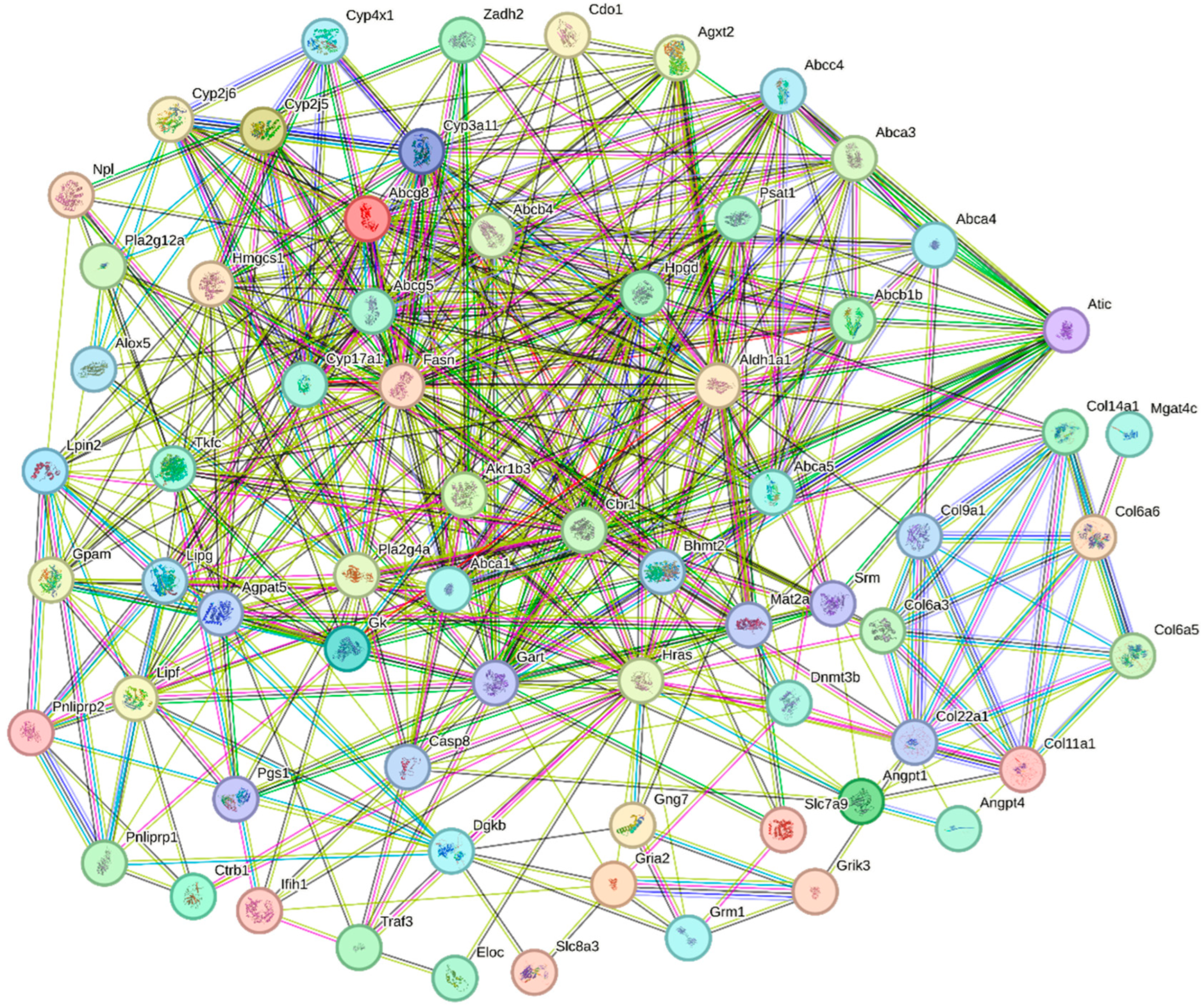 Biology 14 00898 g006