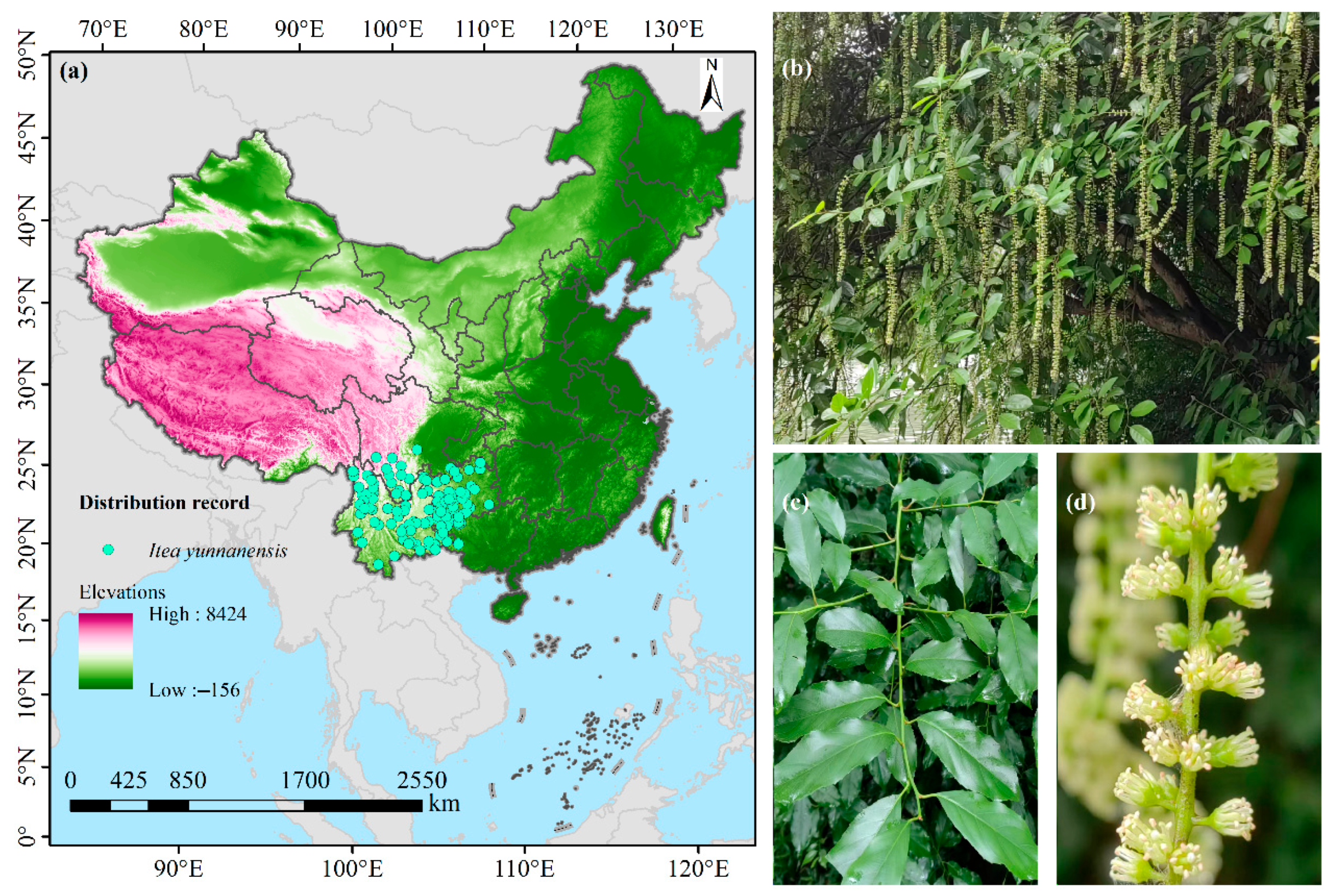 Biology 14 00899 g001