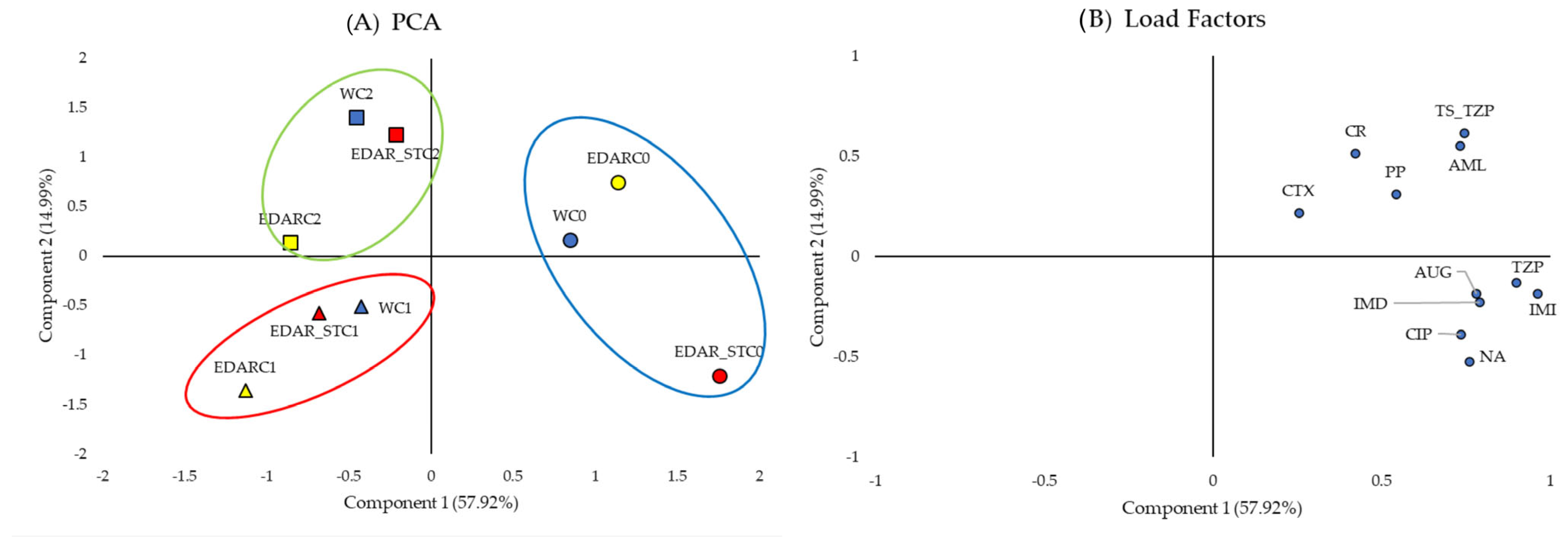 Biology 14 00902 g007 Biology 14 00902 g007
