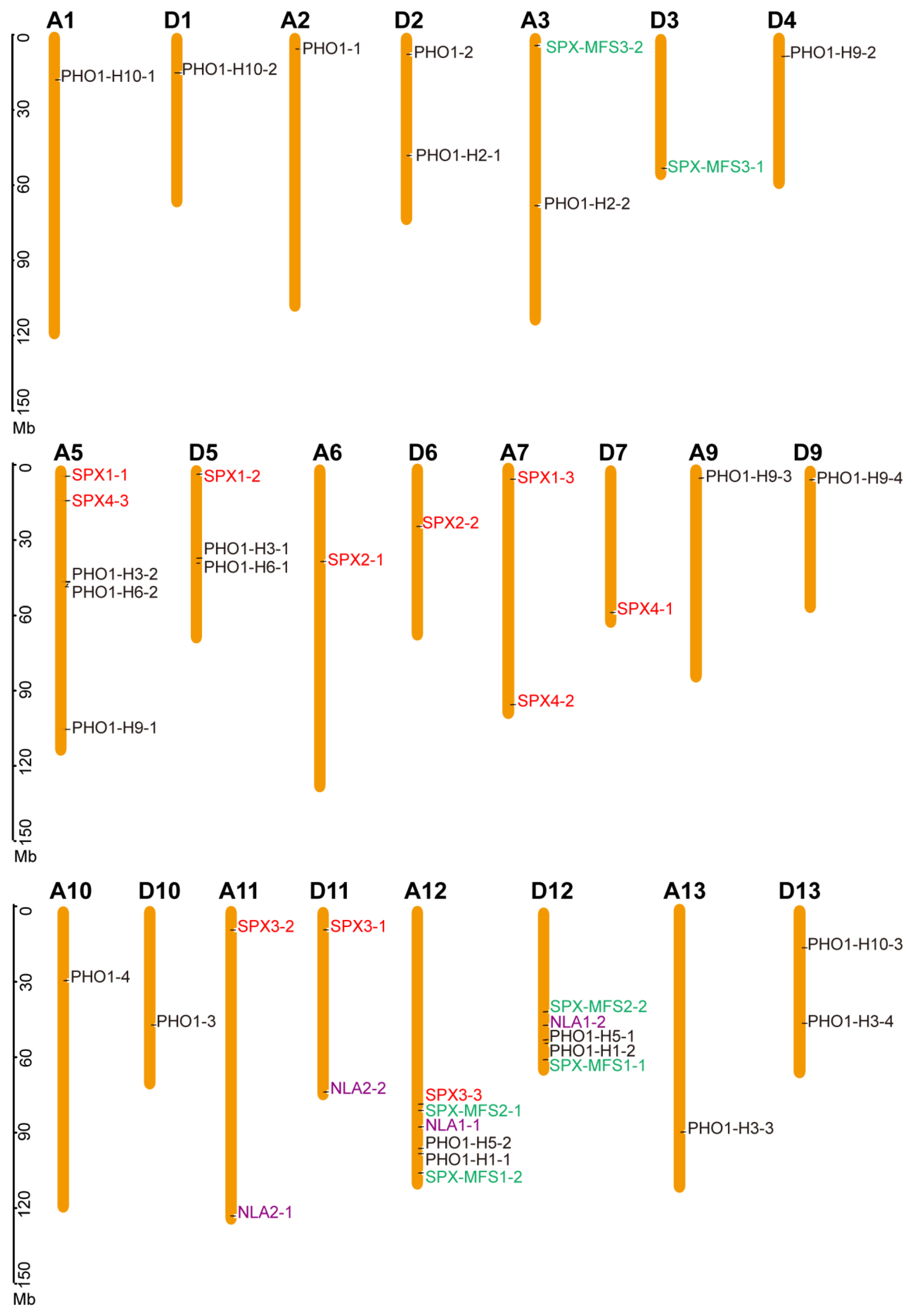 Biology 14 00916 g002