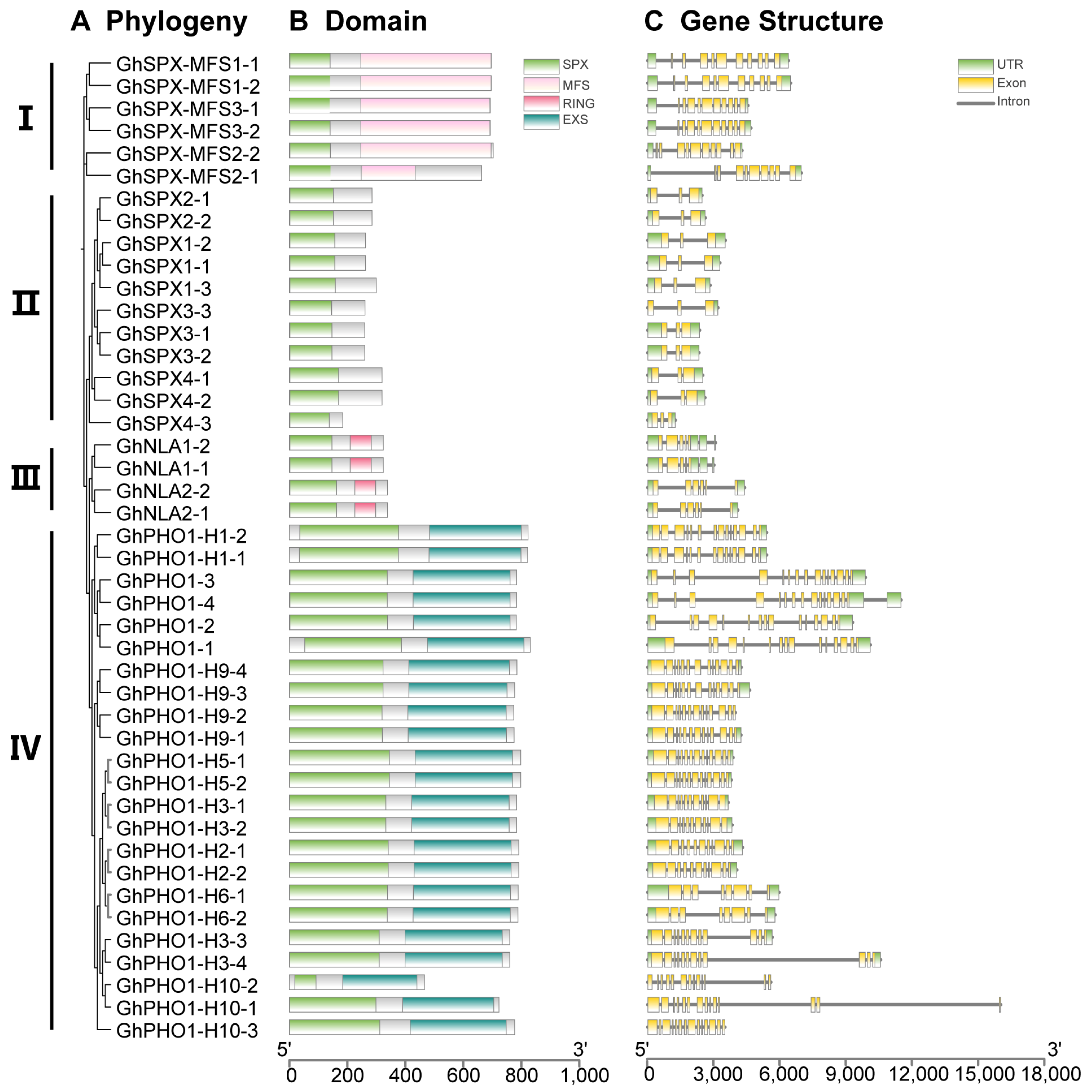 Biology 14 00916 g003