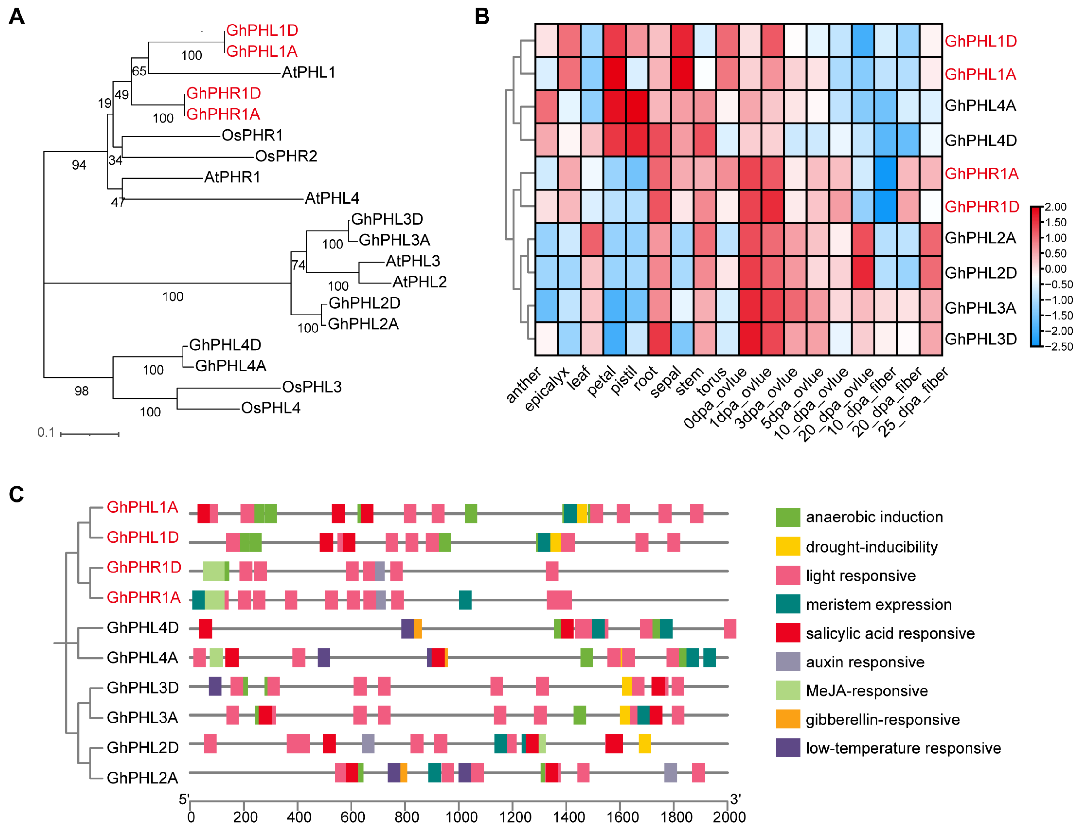 Biology 14 00916 g006