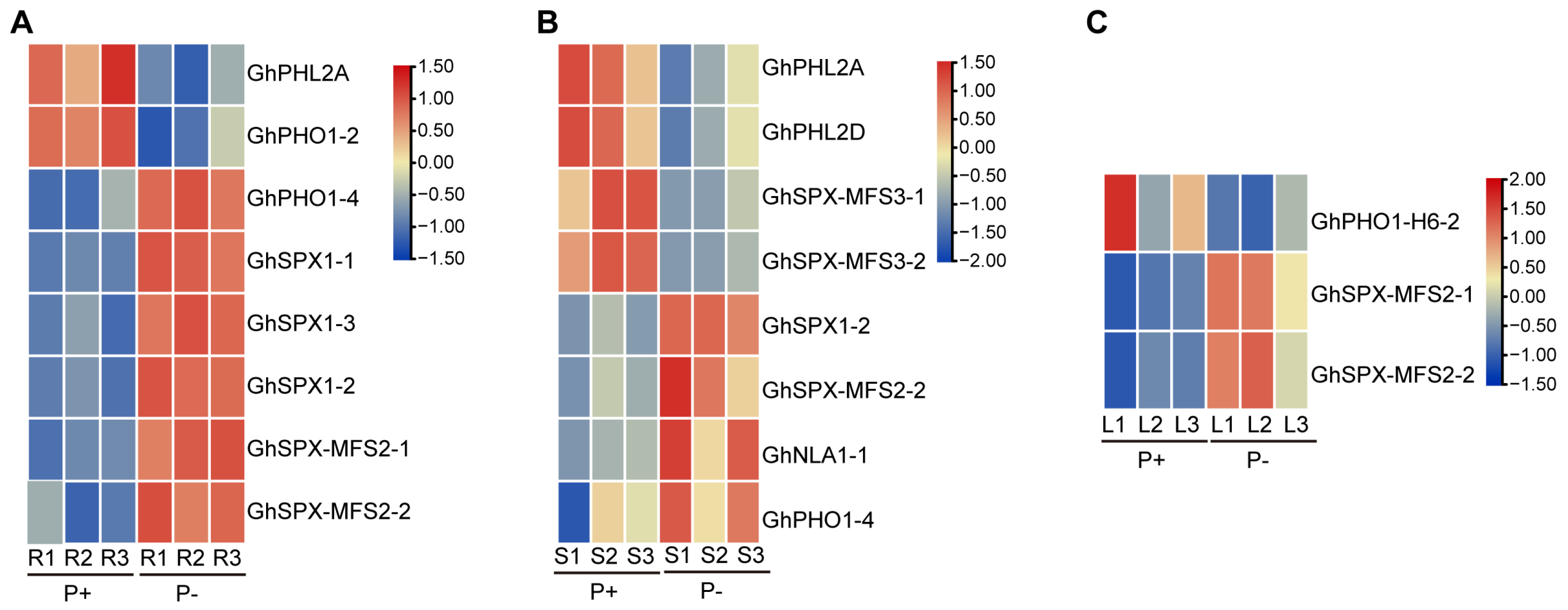 Biology 14 00916 g007