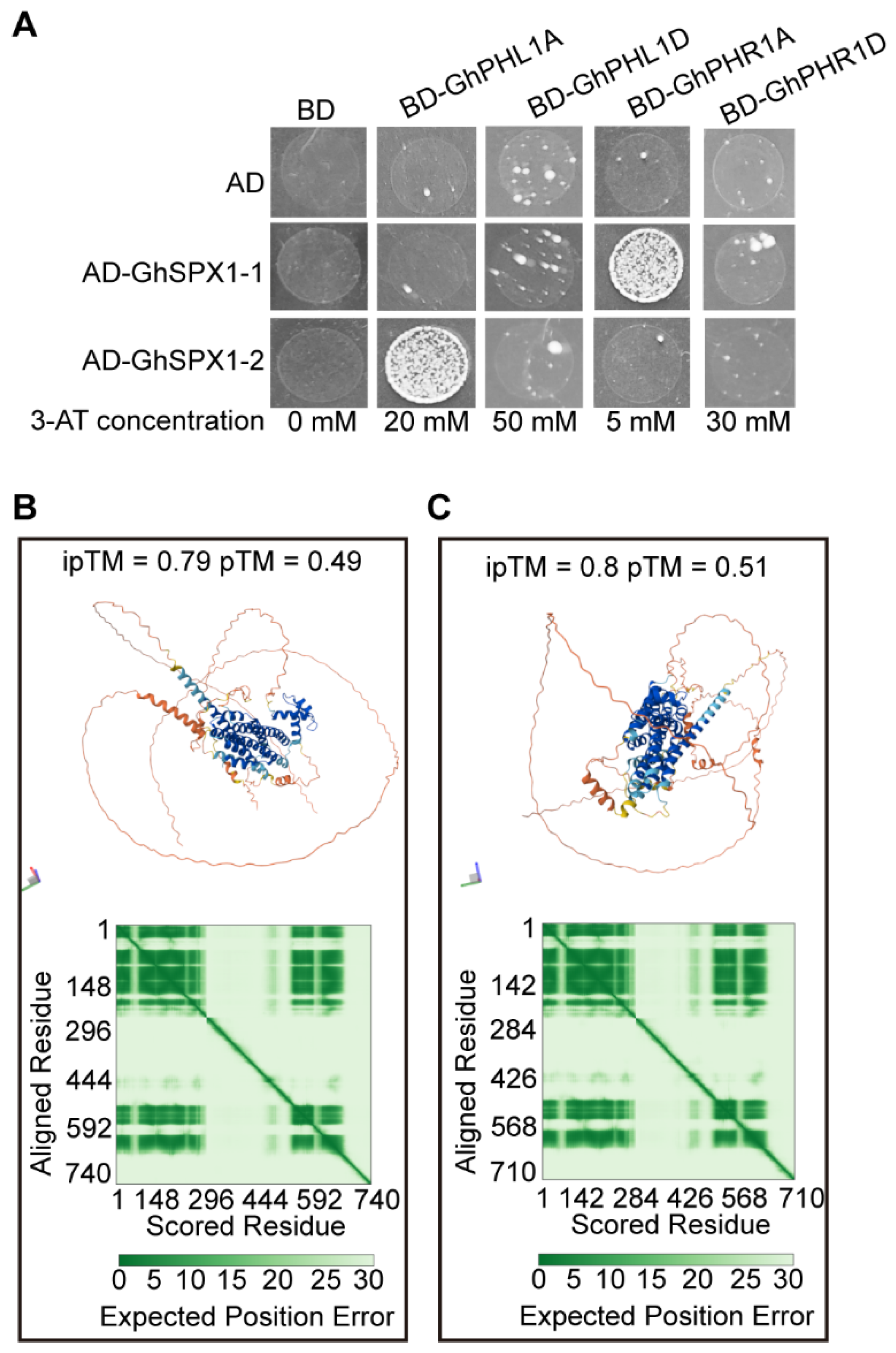 Biology 14 00916 g008