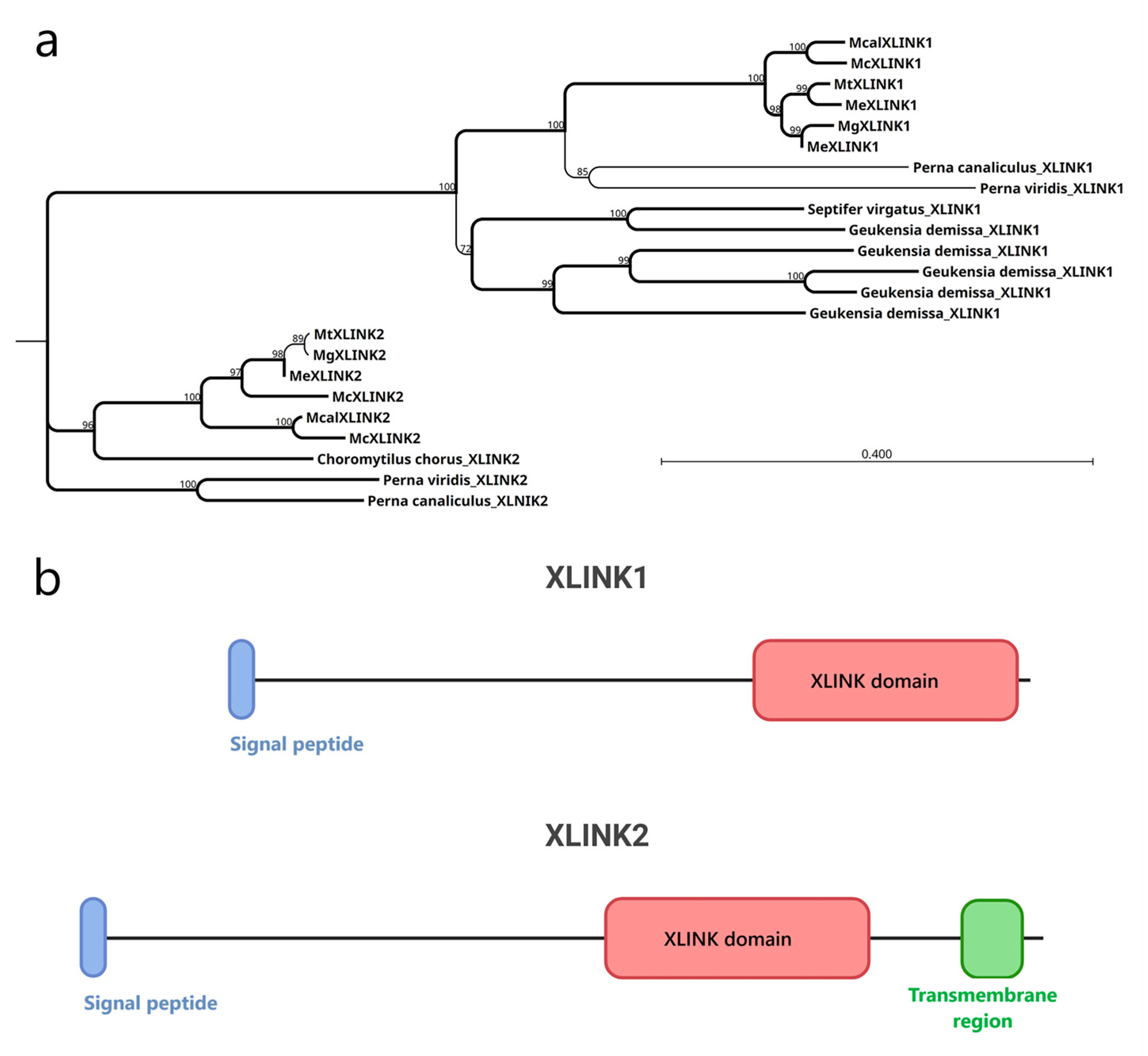 Biology 14 00930 g001