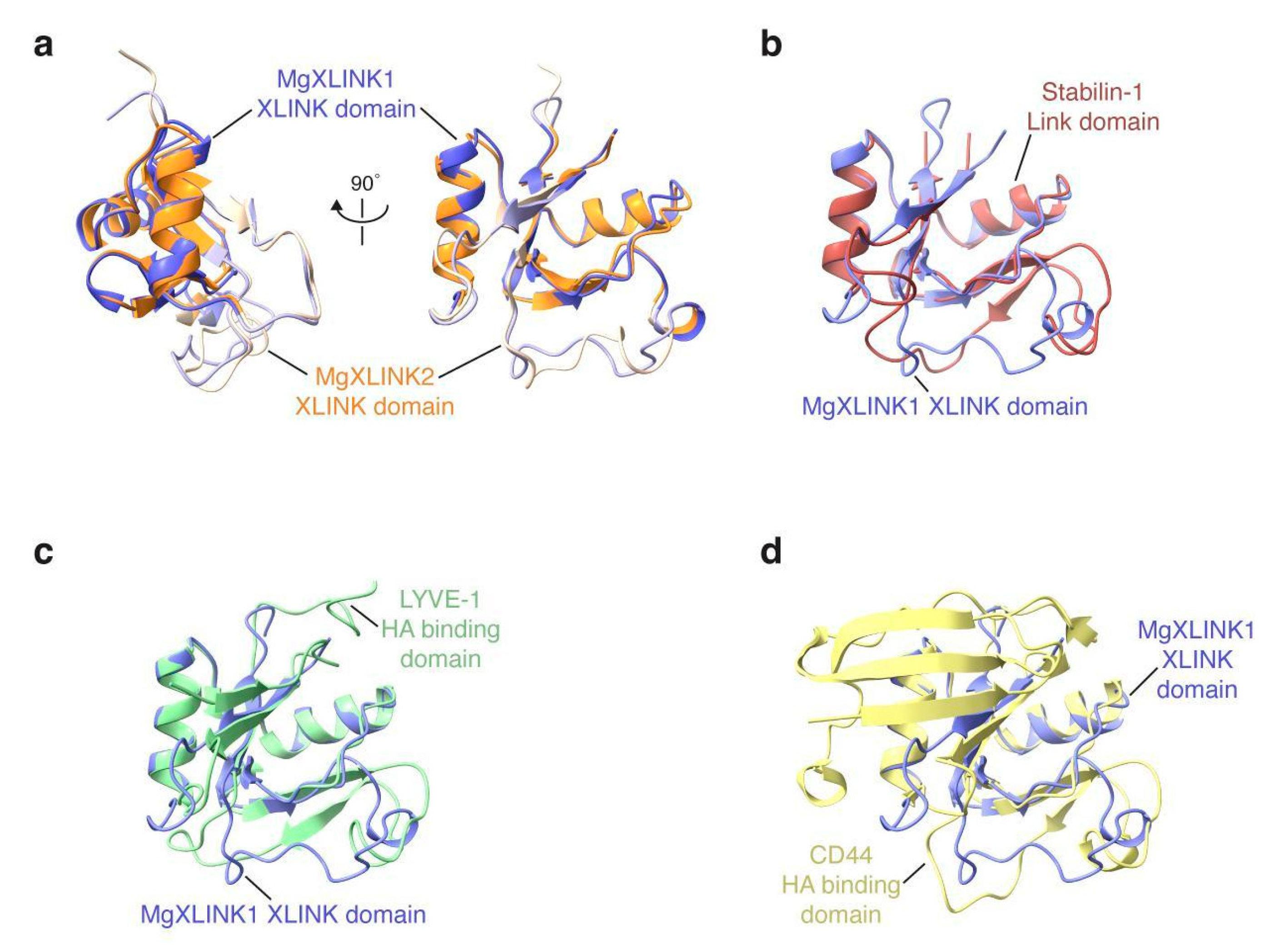 Biology 14 00930 g002