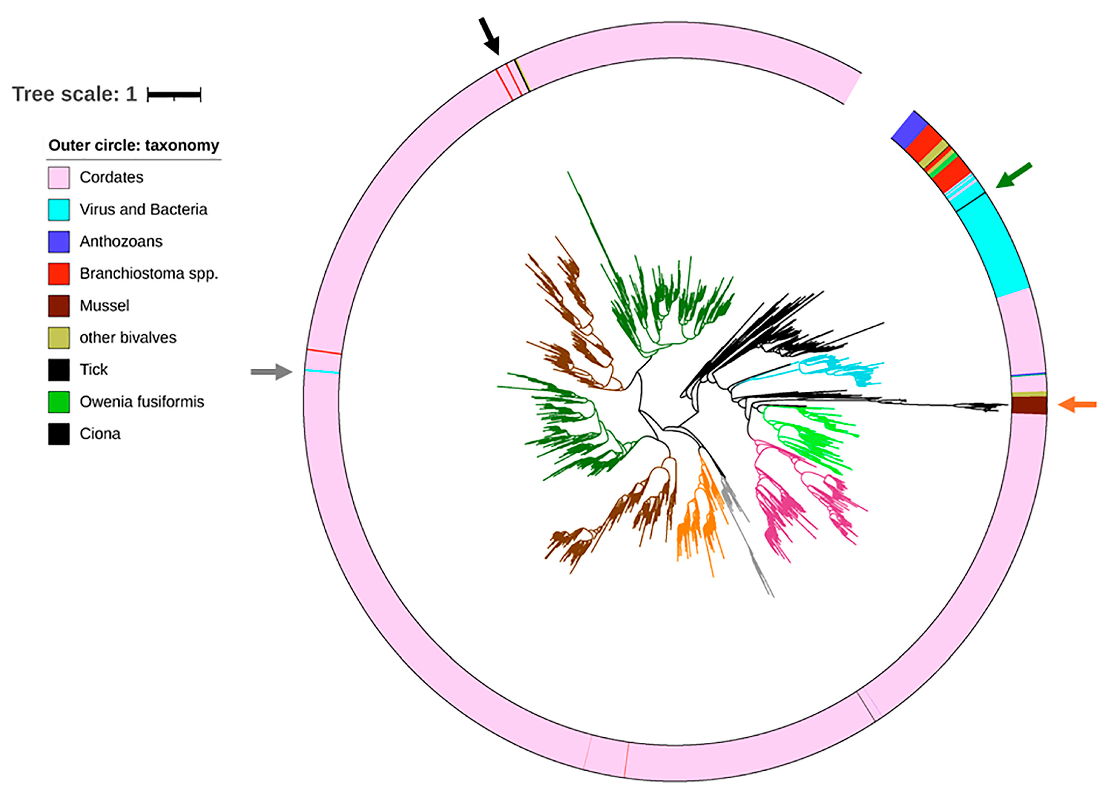 Biology 14 00930 g004