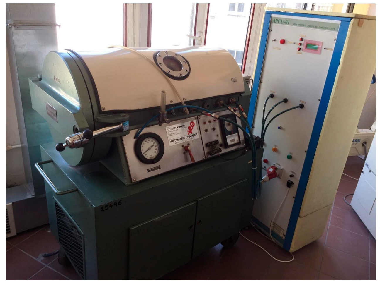 Biology 14 00931 g001