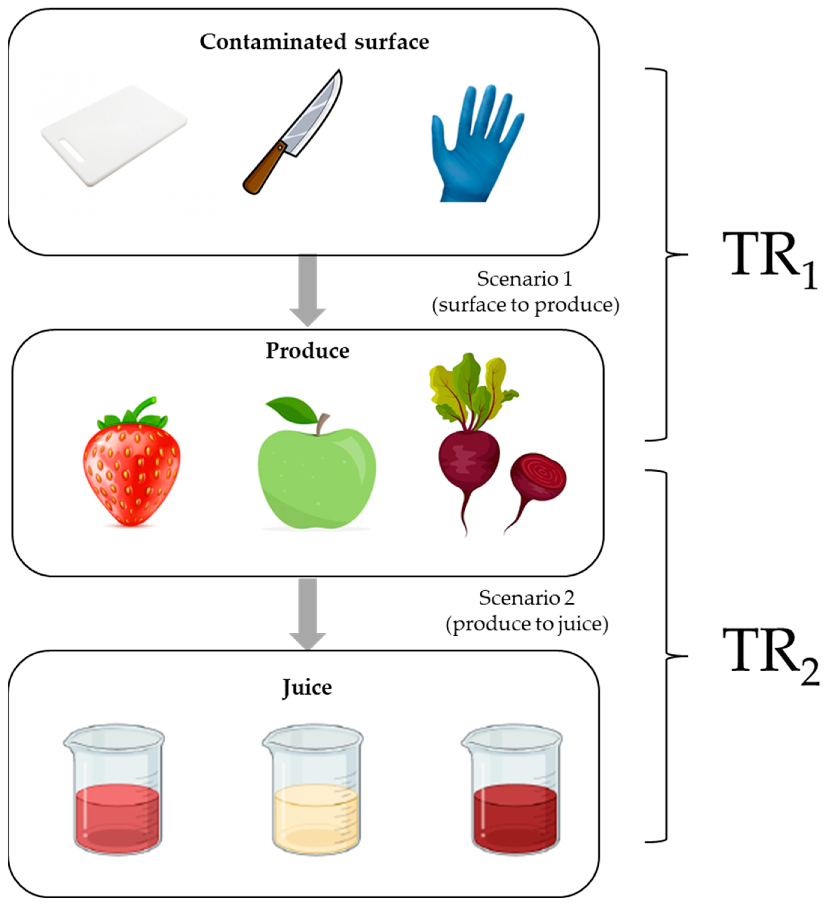 Biology 14 00932 g001