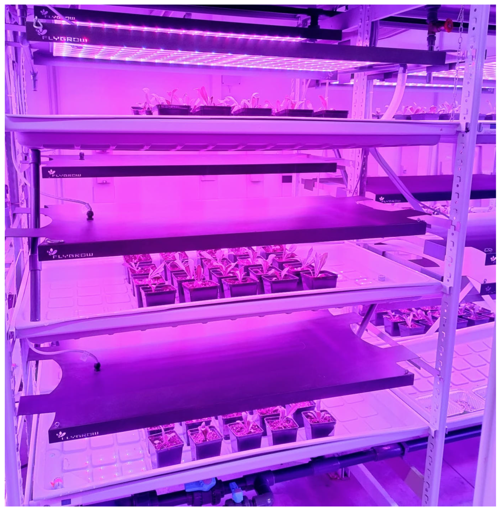 Biology 14 00935 g001