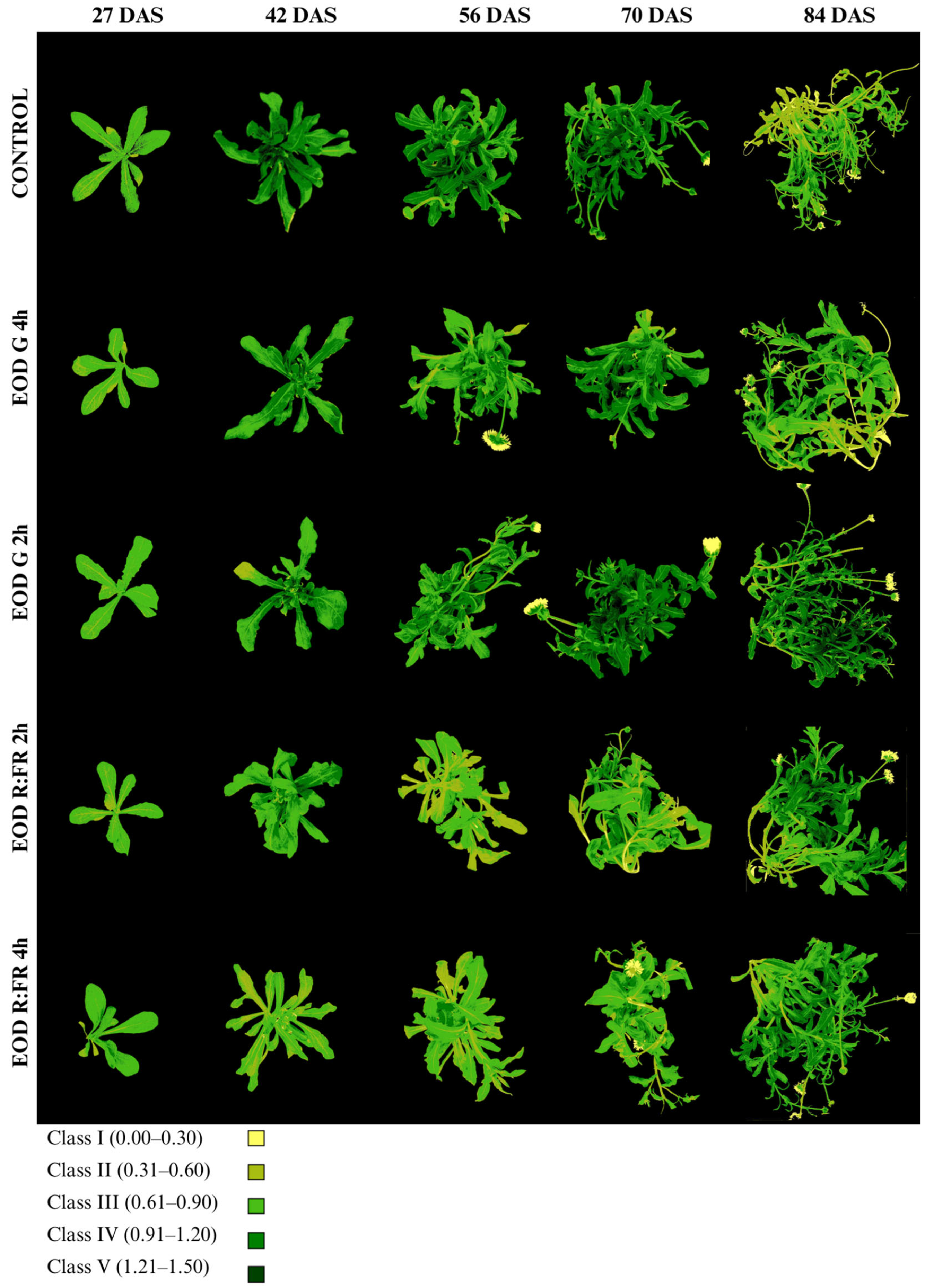 Biology 14 00935 g006