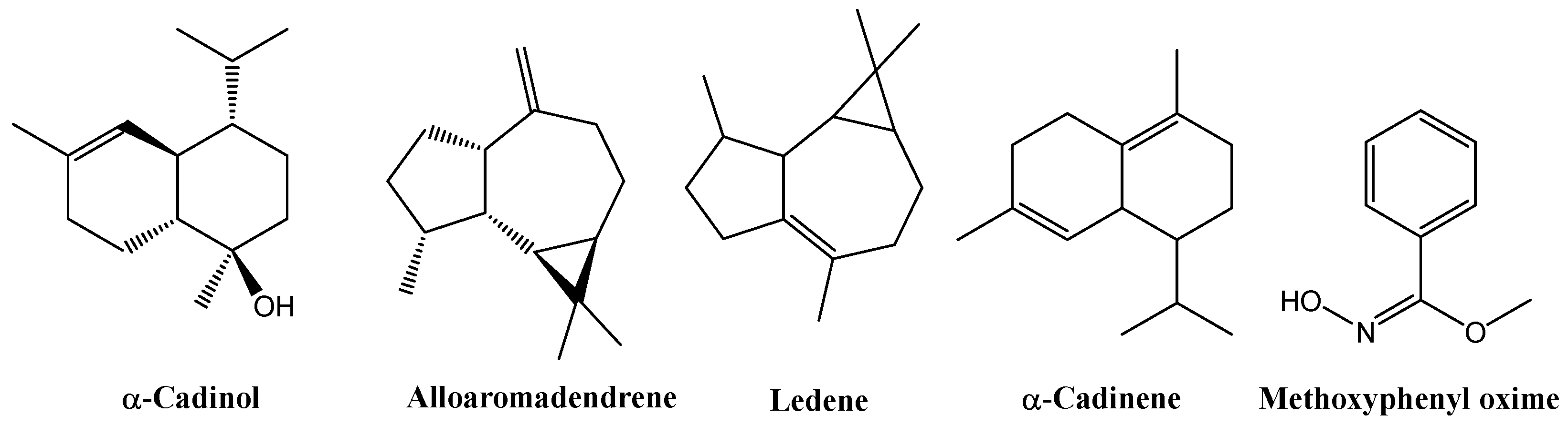 Biology 14 00935 g008