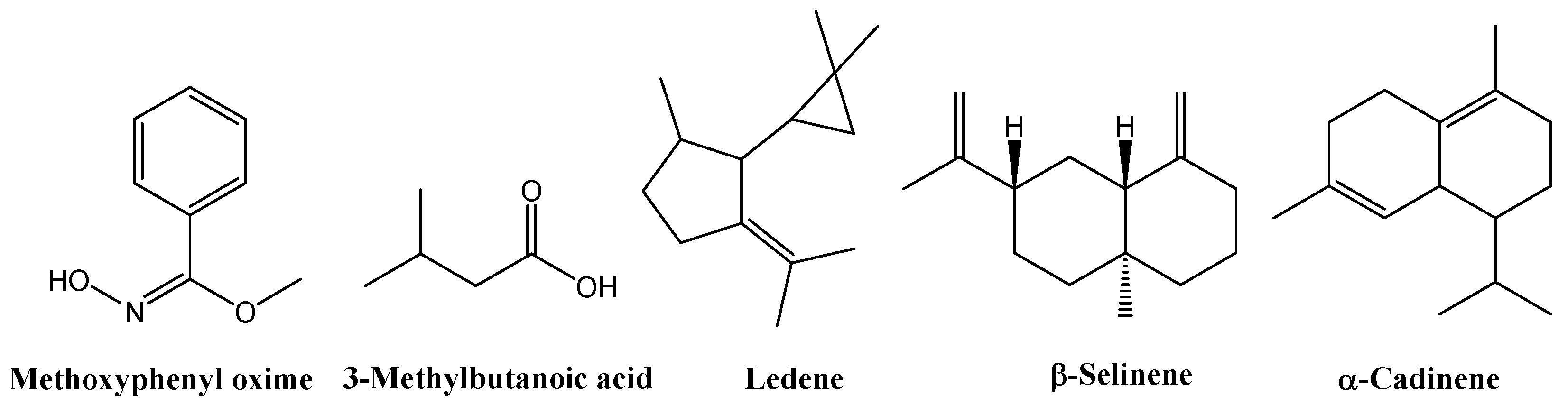 Biology 14 00935 g009