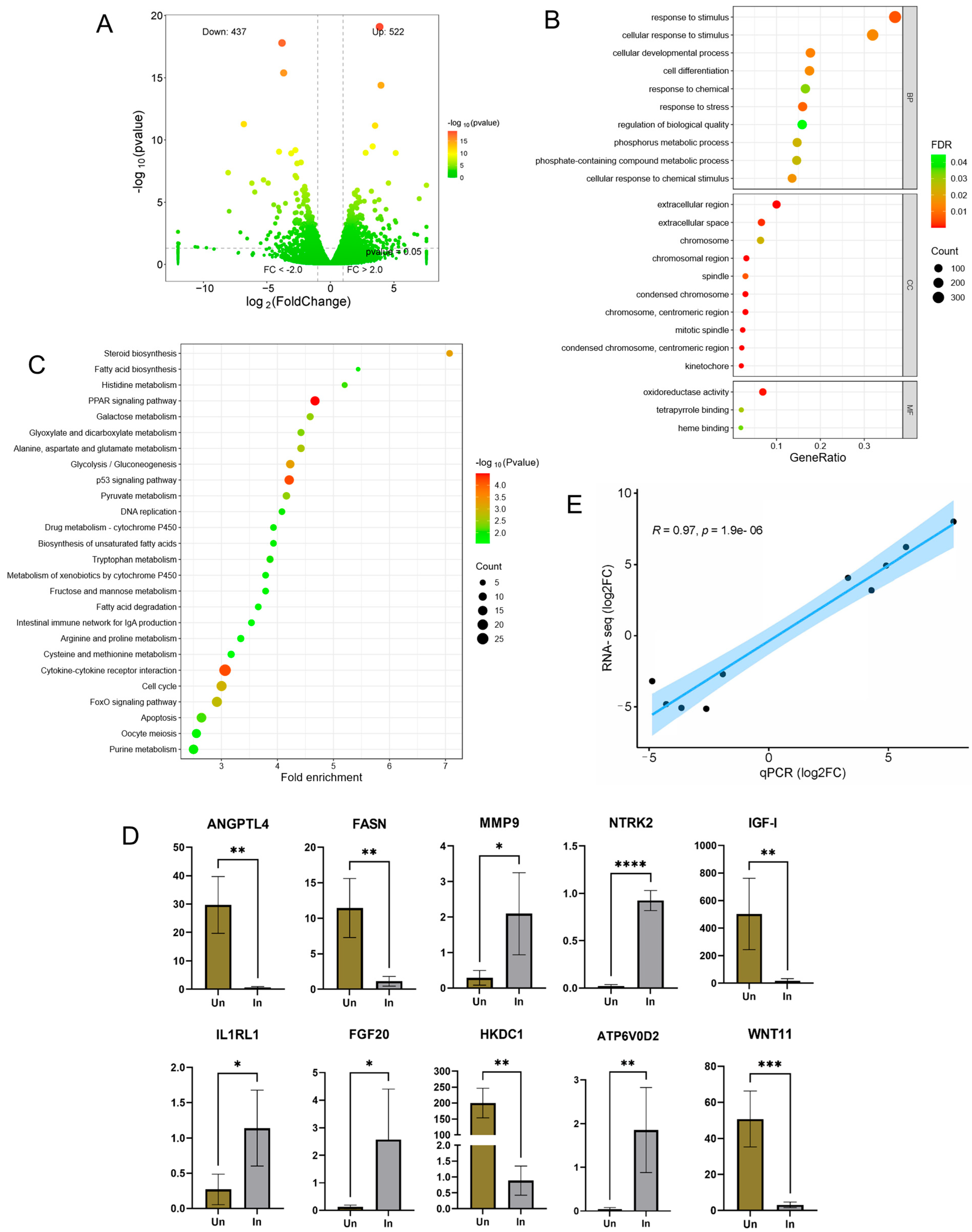 Biology 14 00938 g001