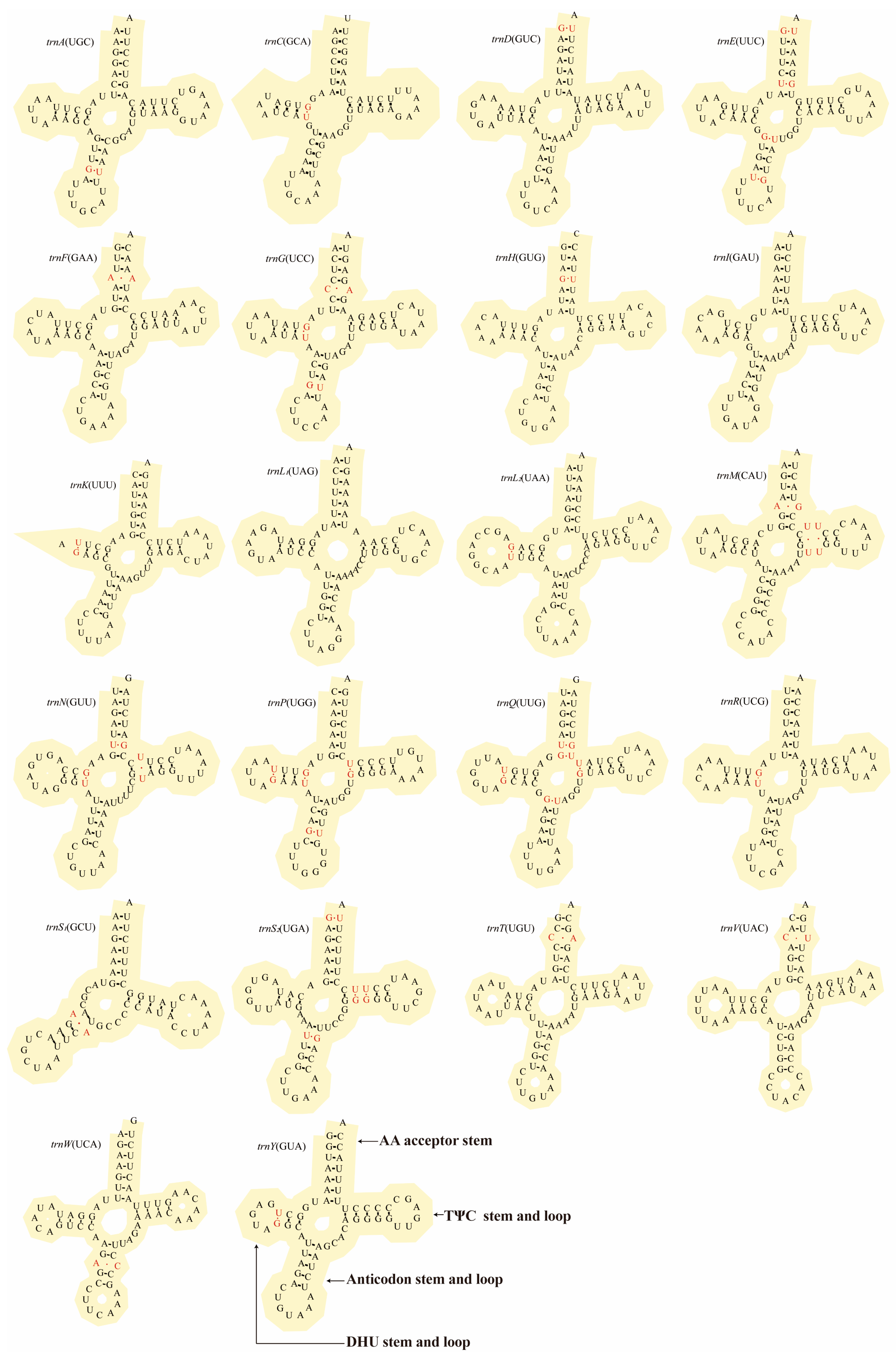 Biology 14 00948 g004