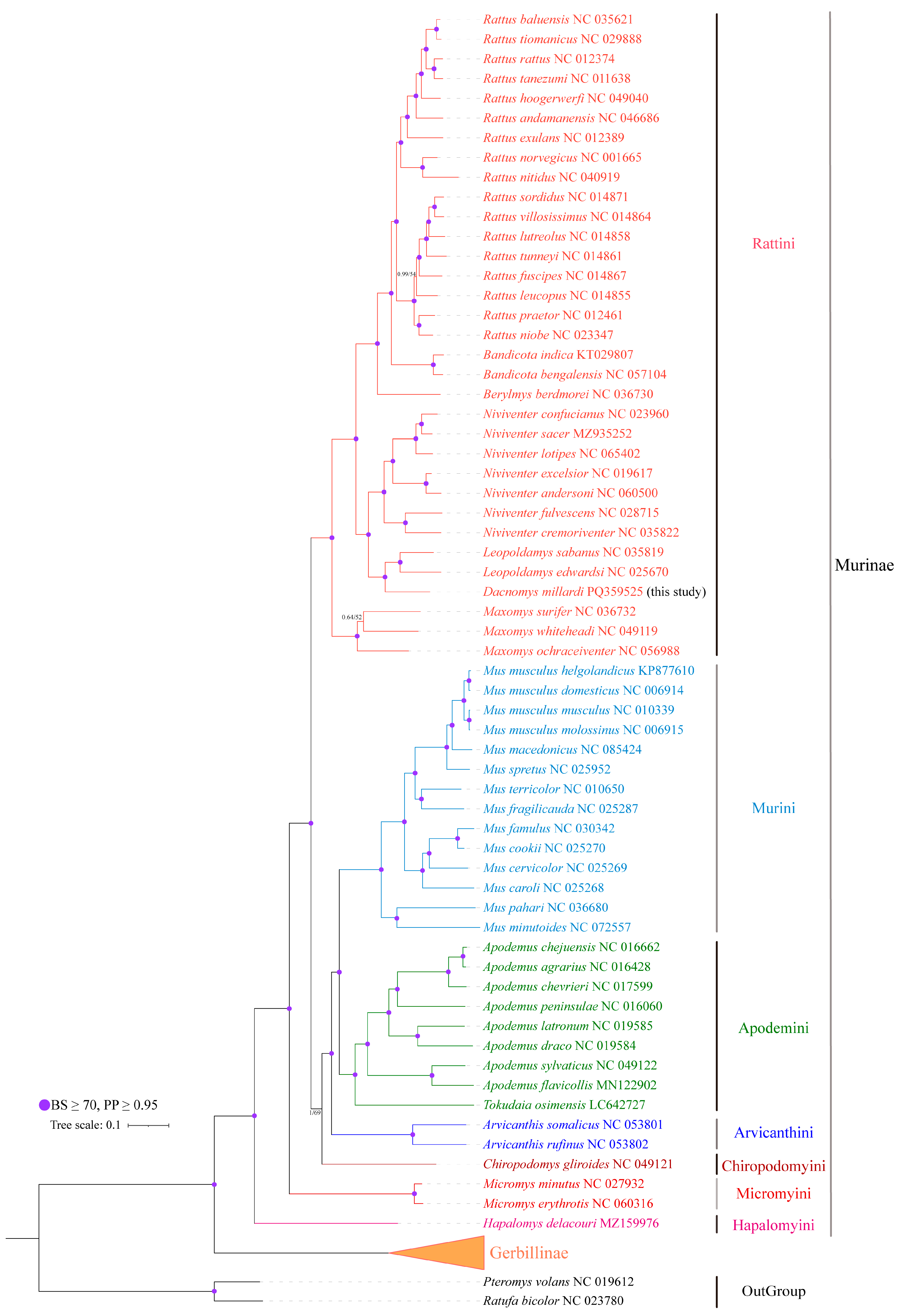 Biology 14 00948 g008