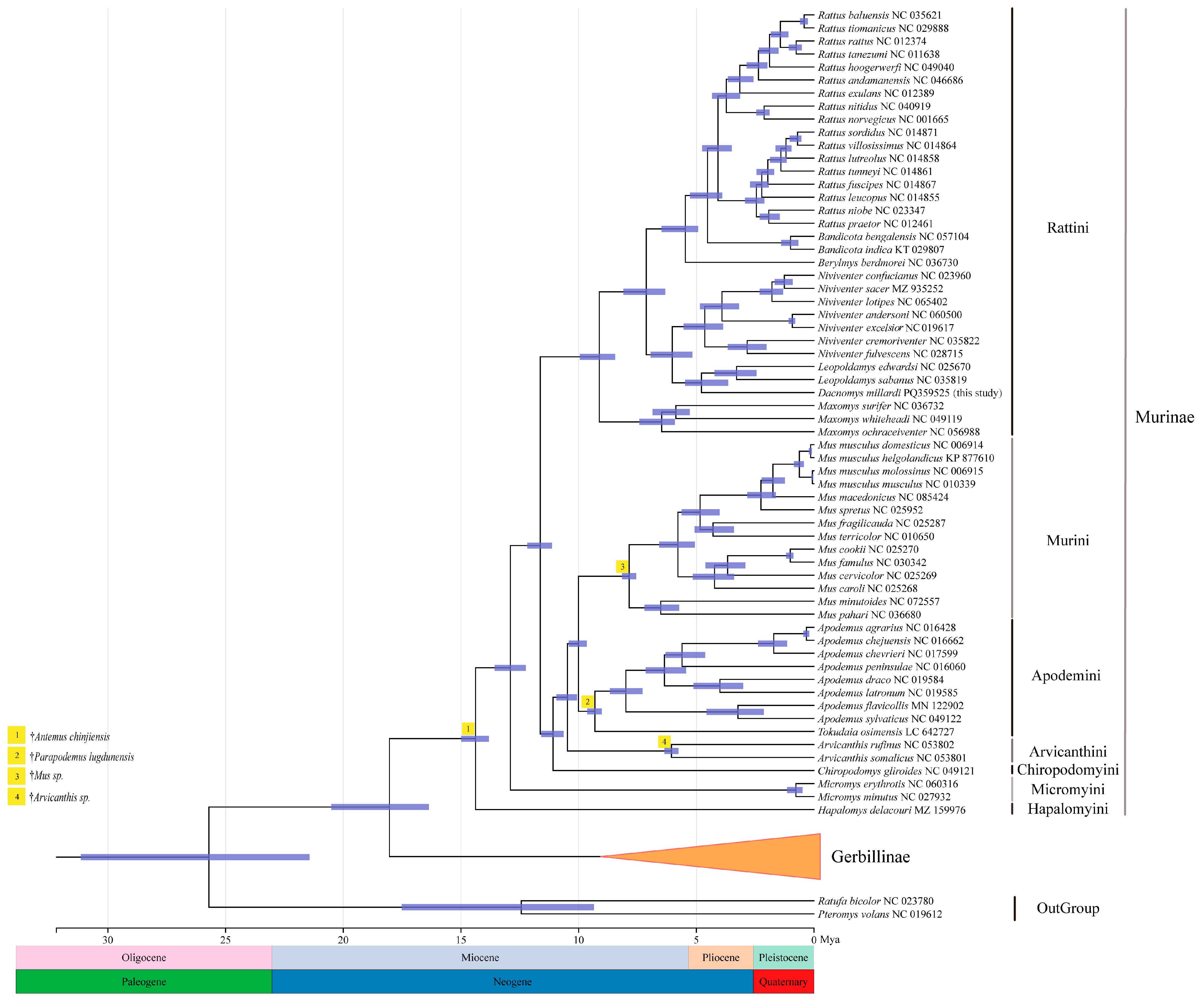 Biology 14 00948 g009