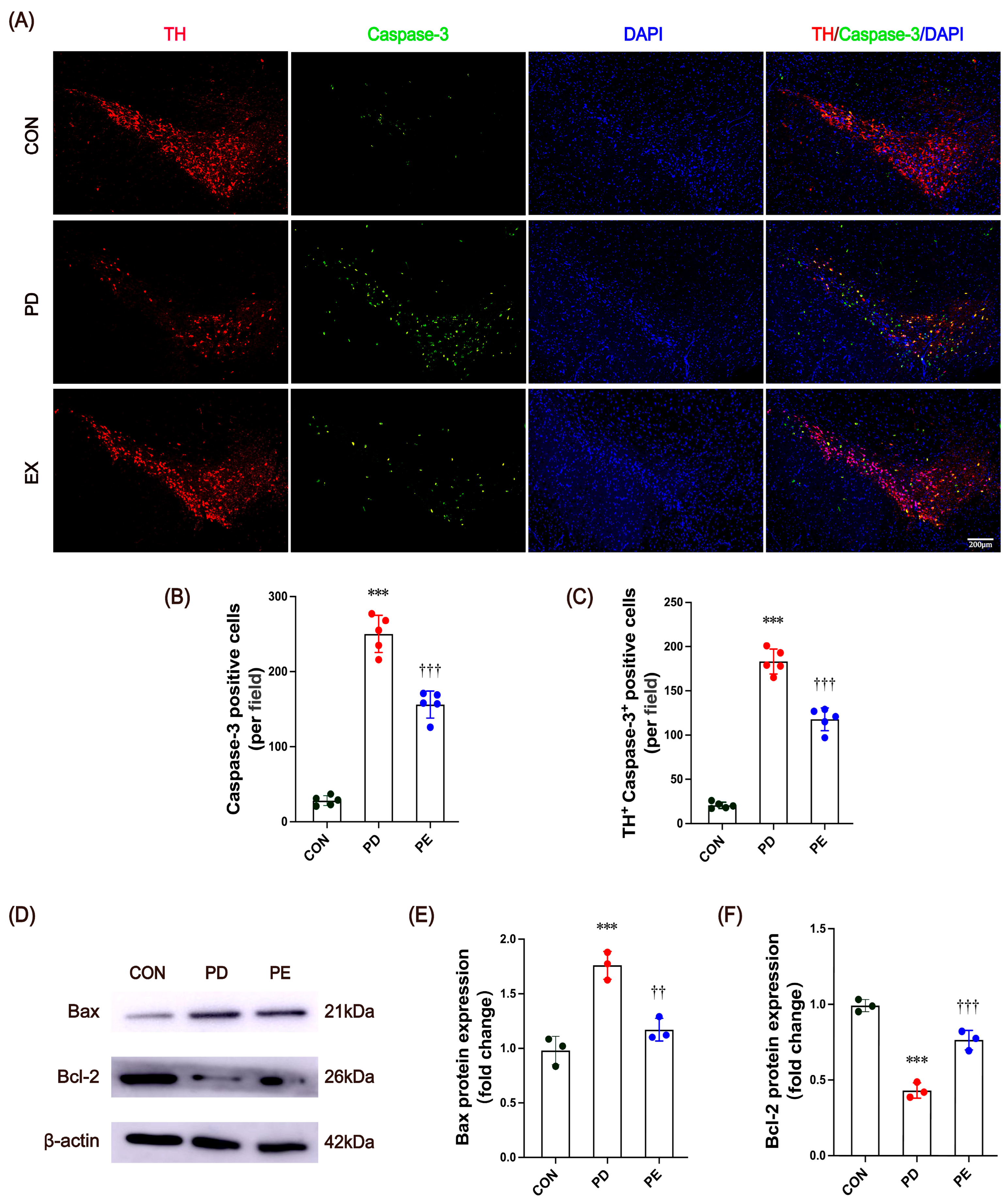 Biology 14 00955 g002
