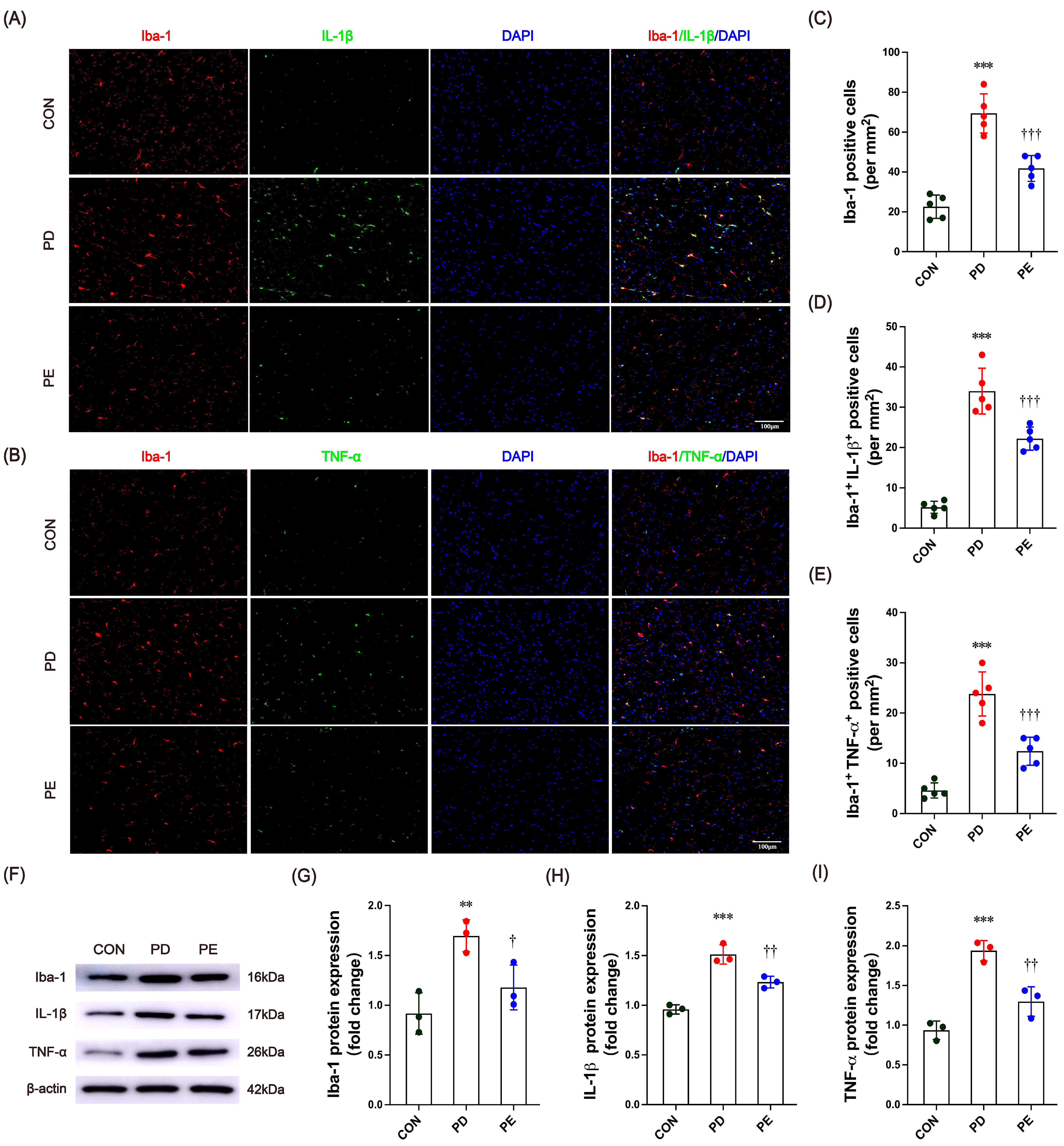 Biology 14 00955 g003