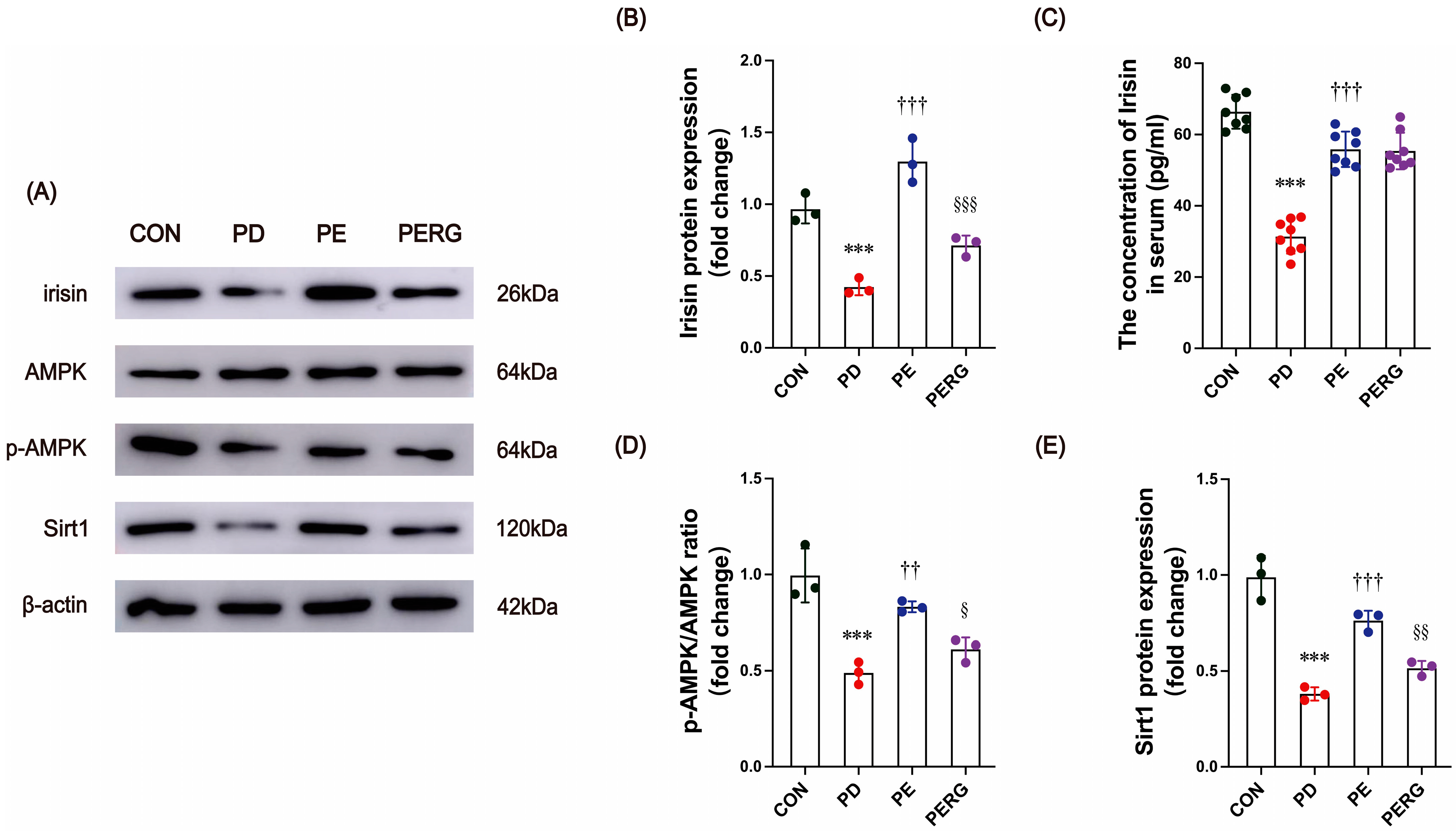 Biology 14 00955 g005