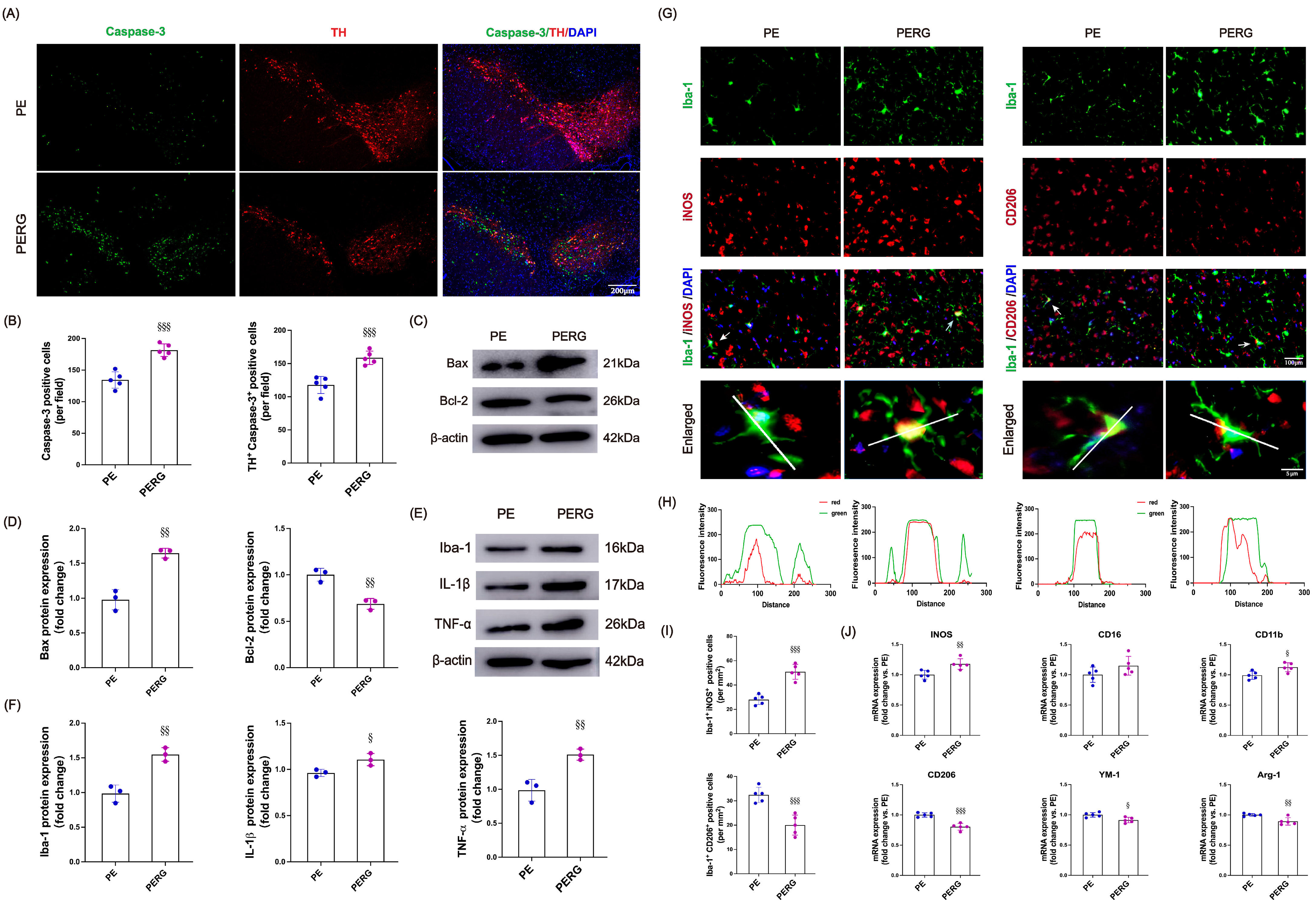 Biology 14 00955 g006