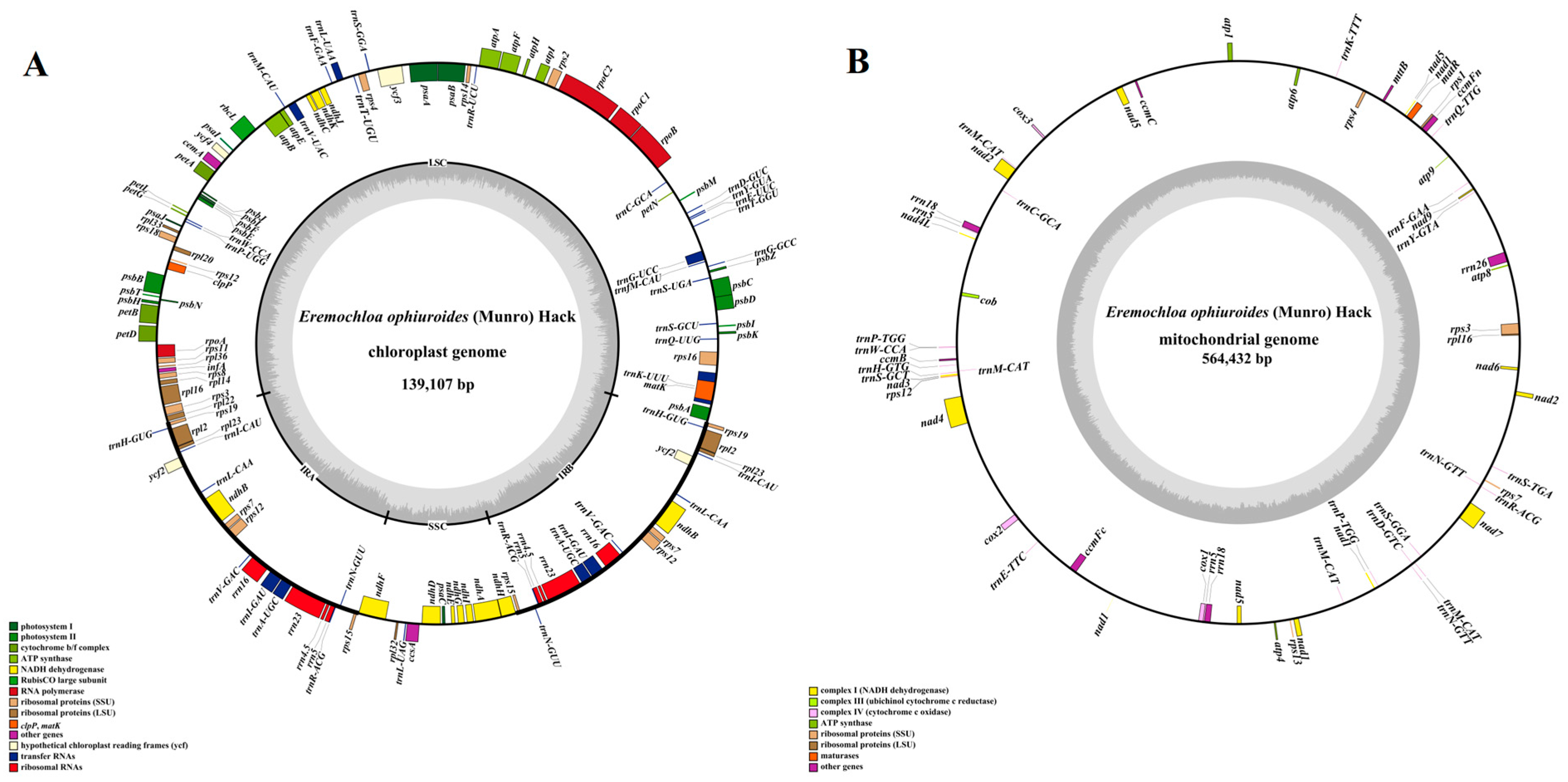 Biology 14 00975 g001
