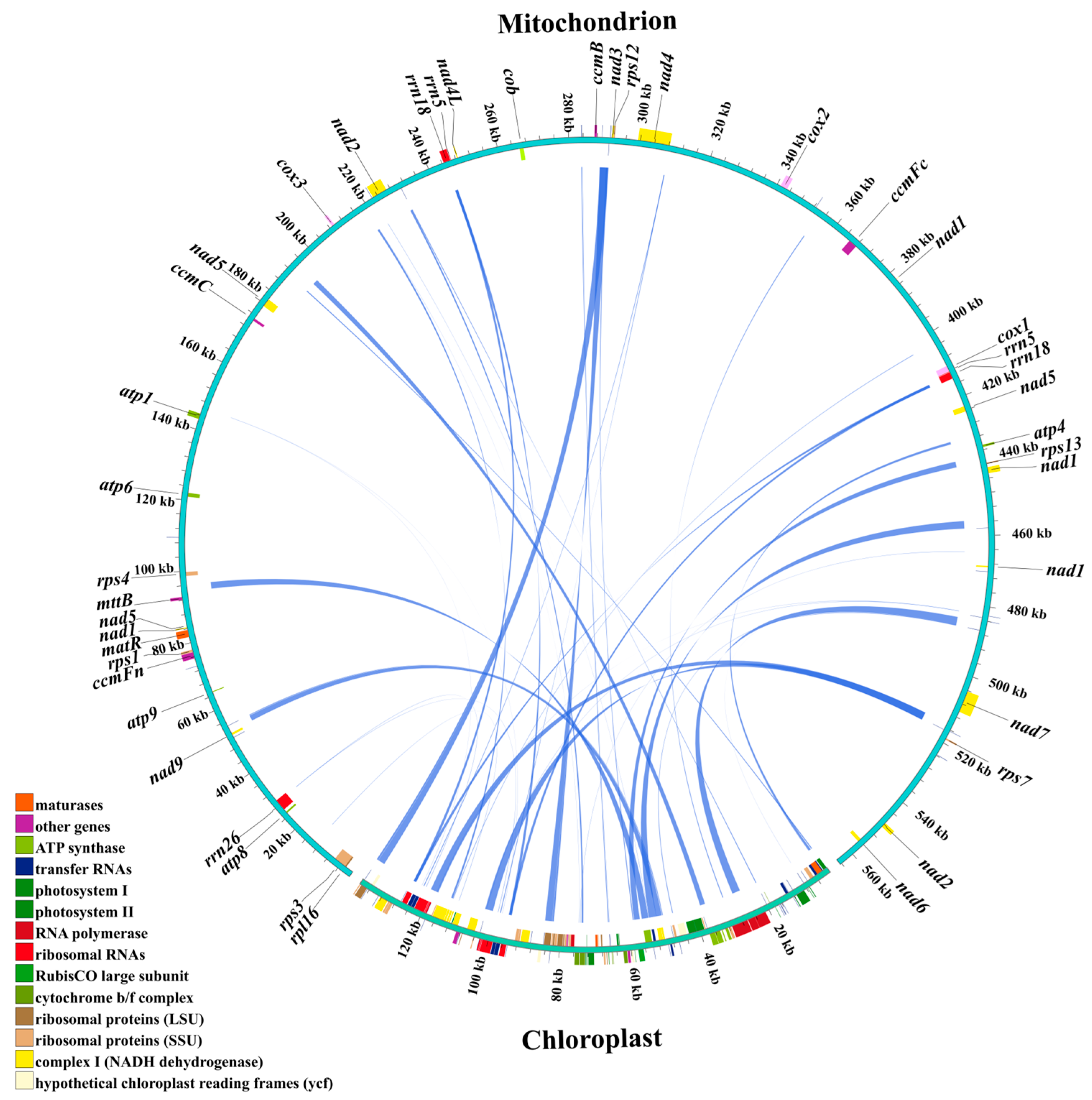 Biology 14 00975 g004