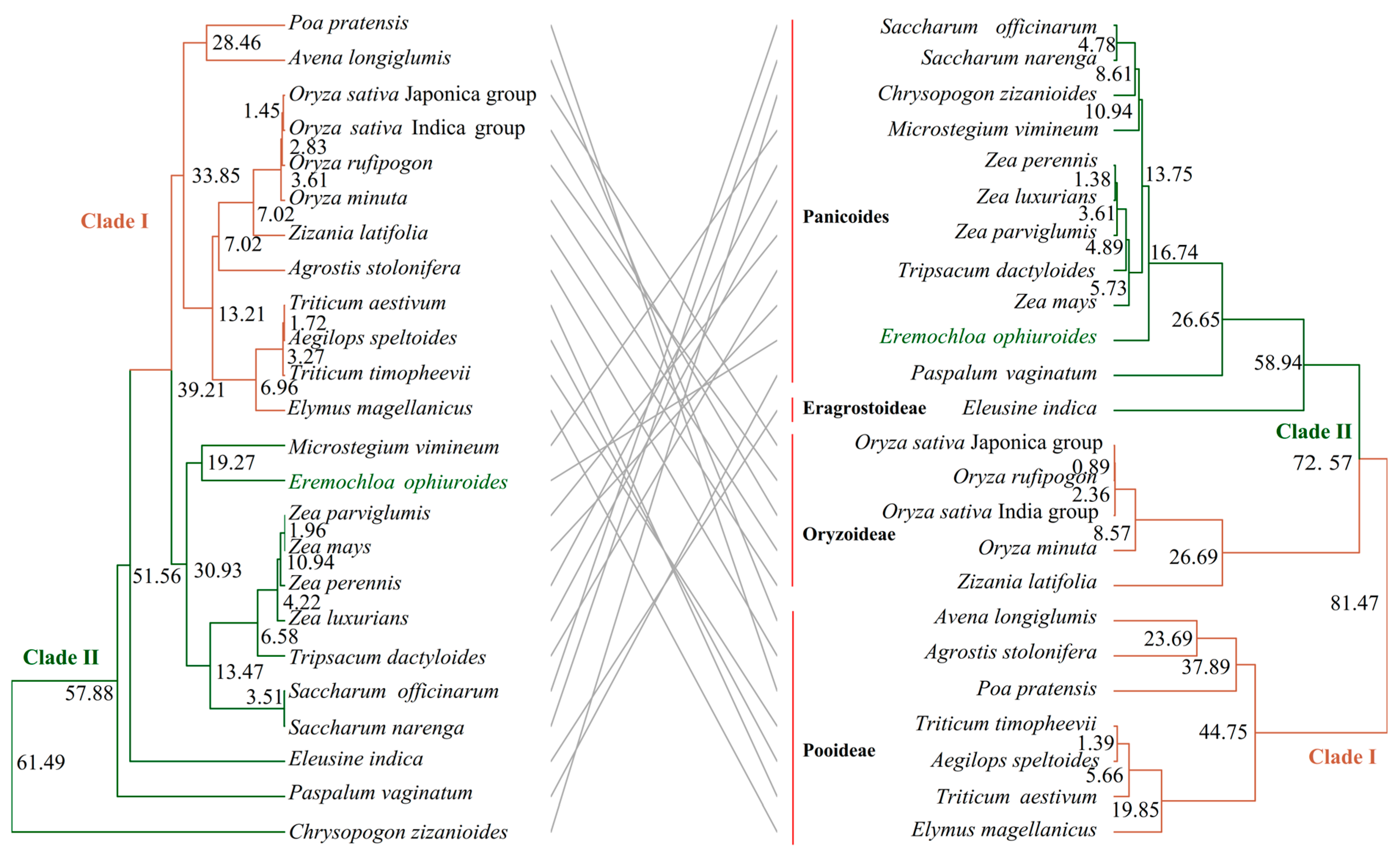 Biology 14 00975 g005