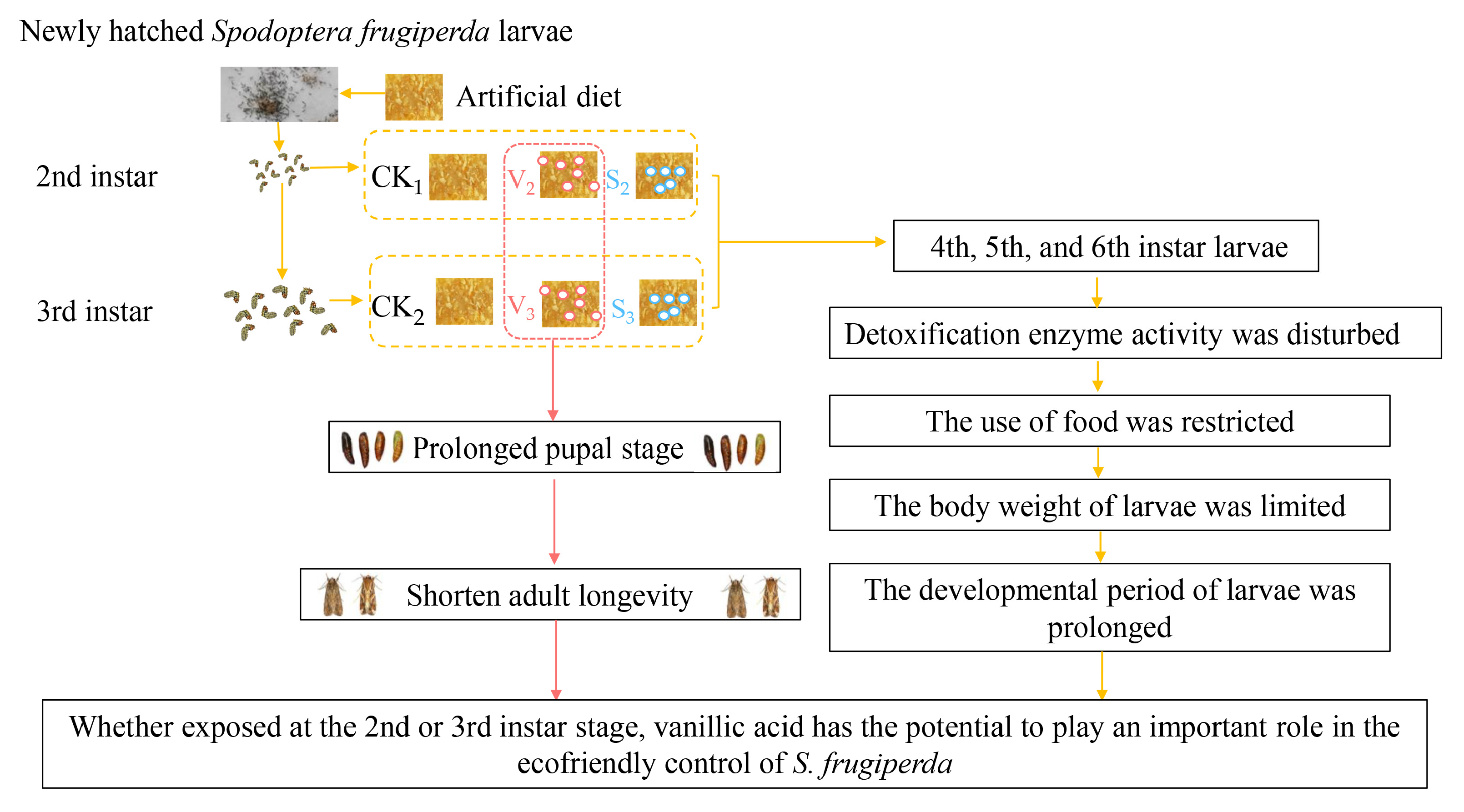 Biology 14 00979 g013