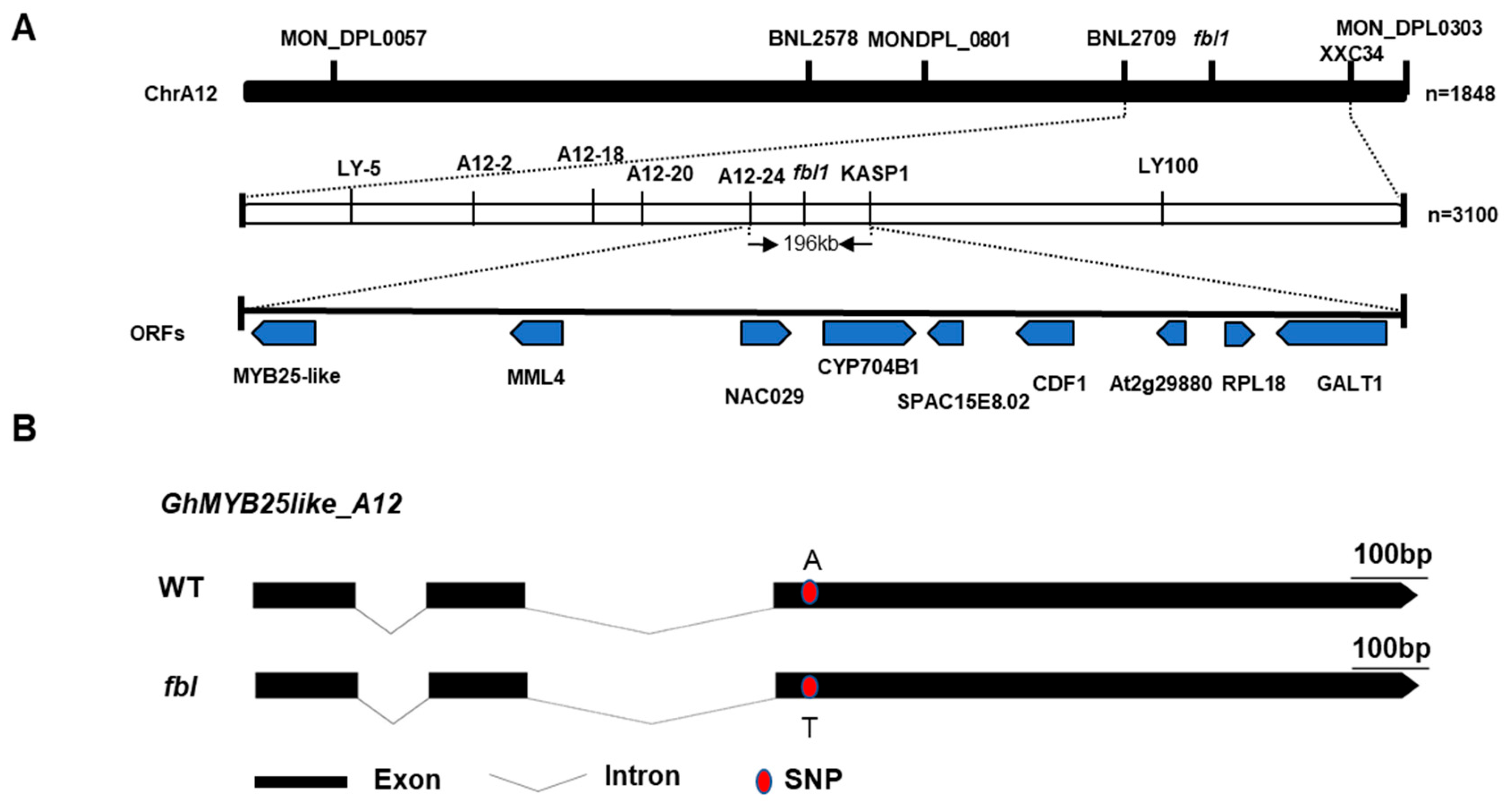 Biology 14 00983 g002