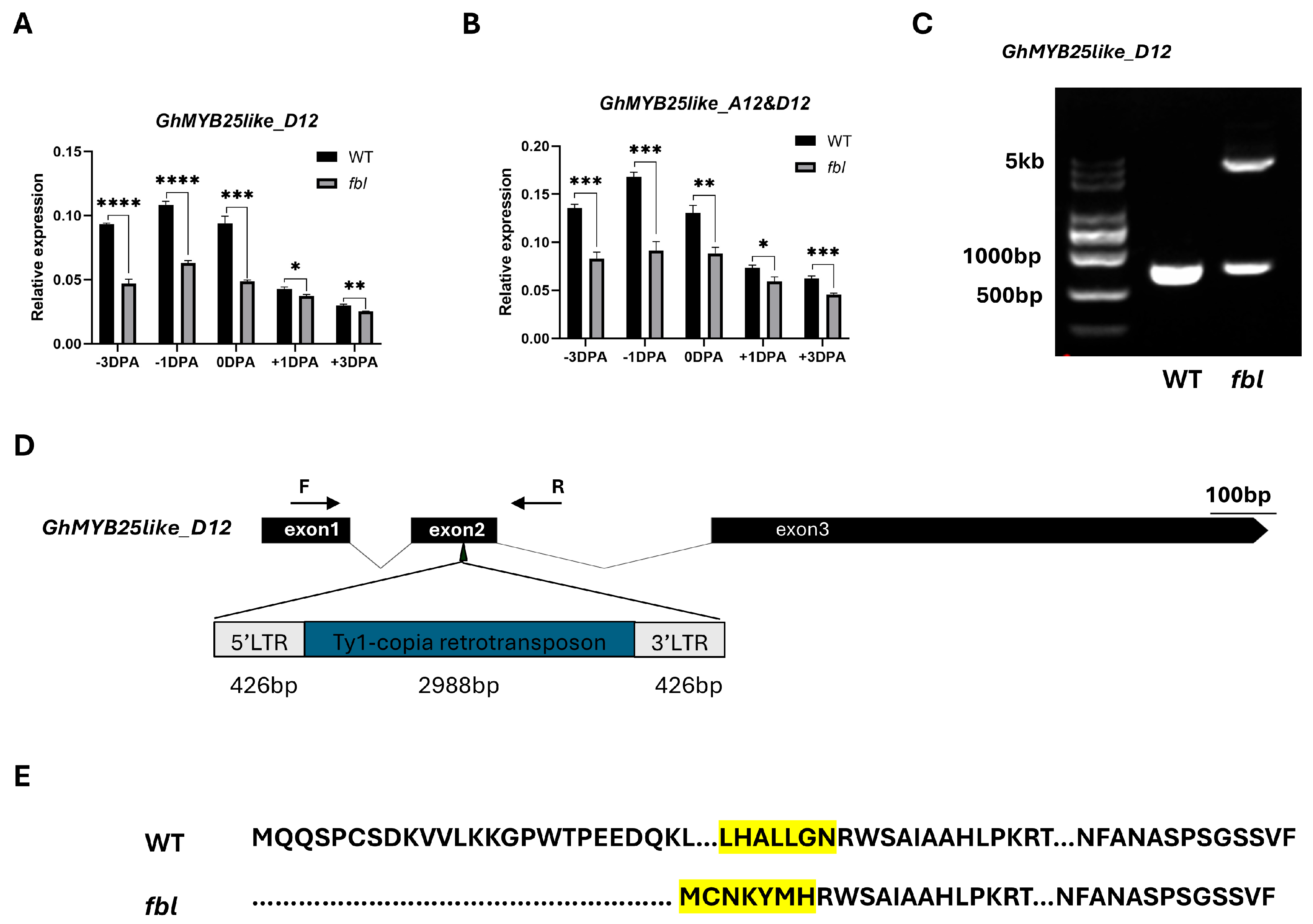 Biology 14 00983 g003
