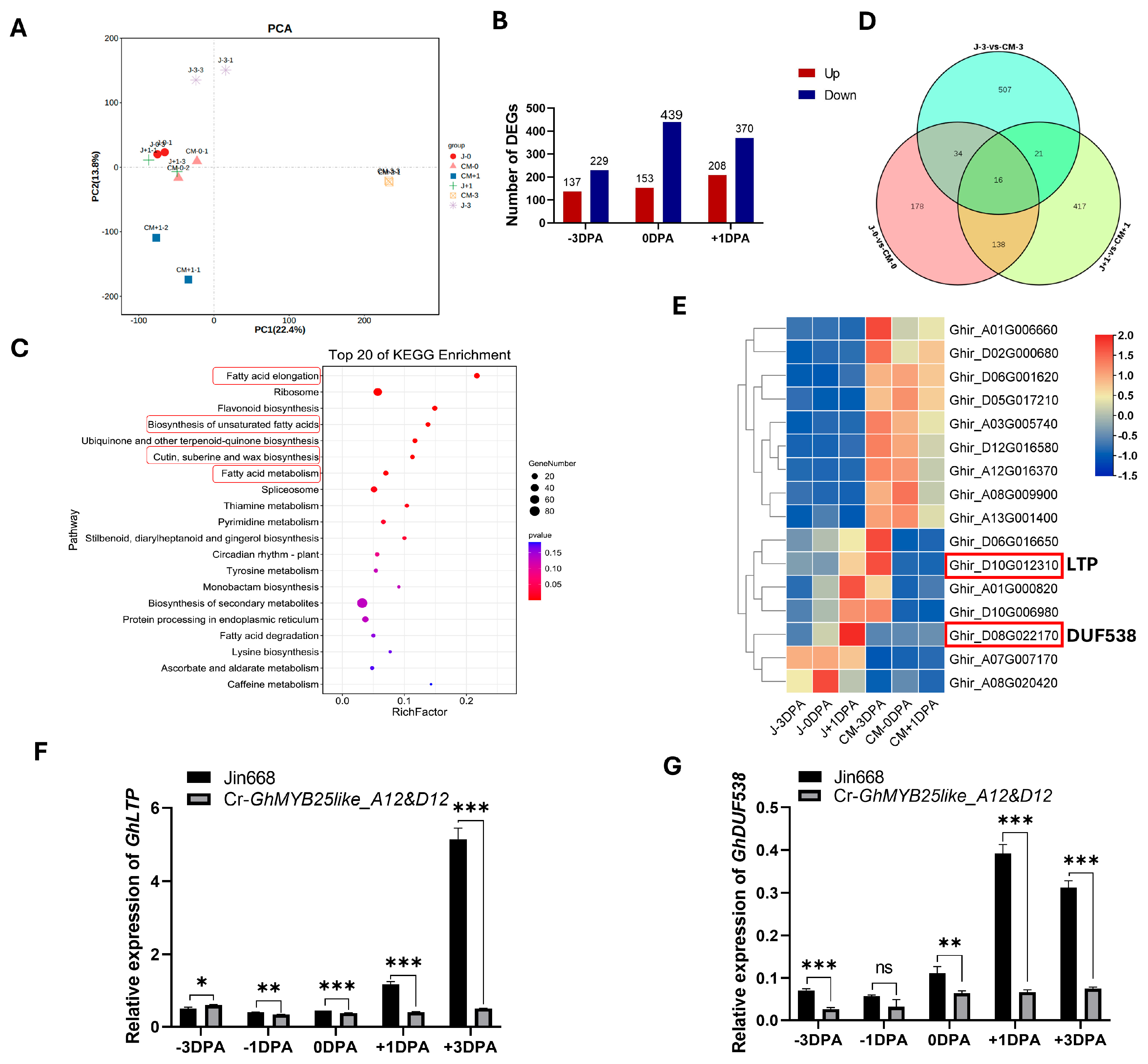 Biology 14 00983 g005