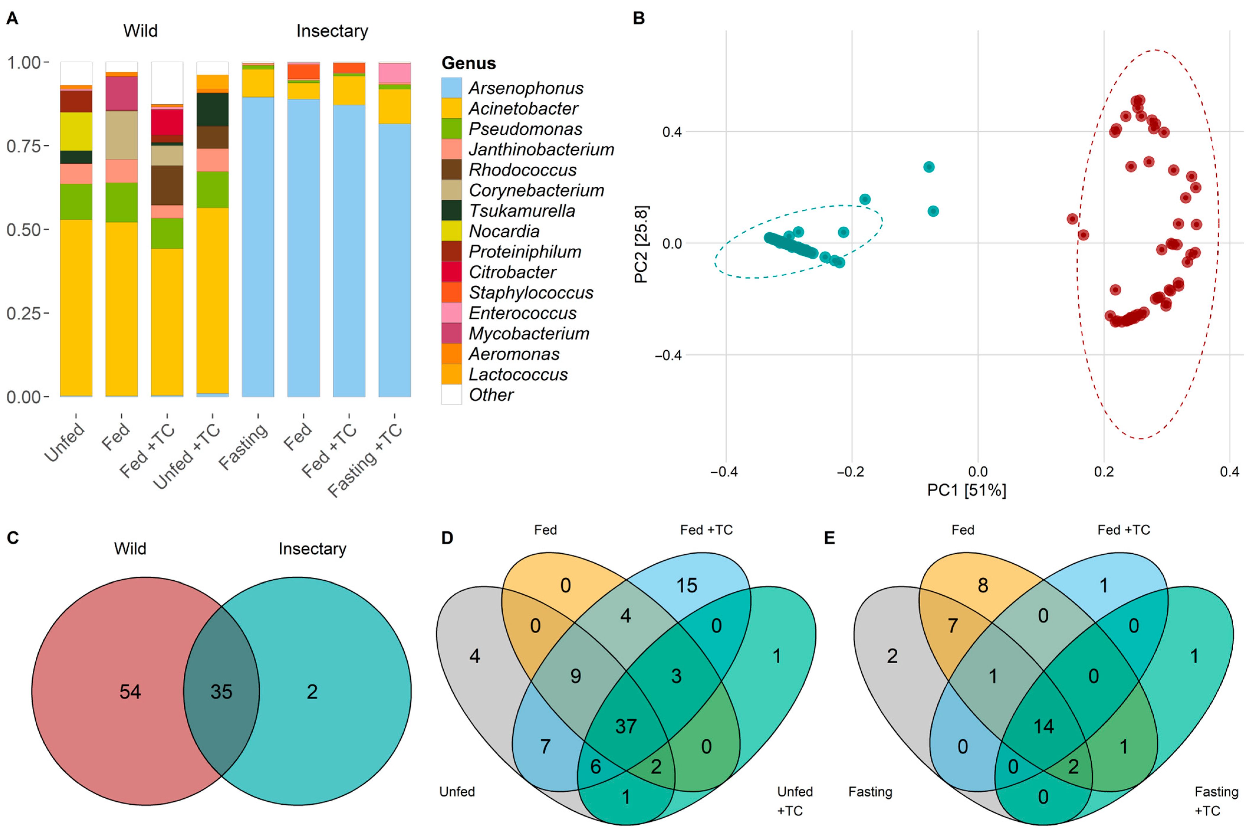 Biology 14 00984 g001
