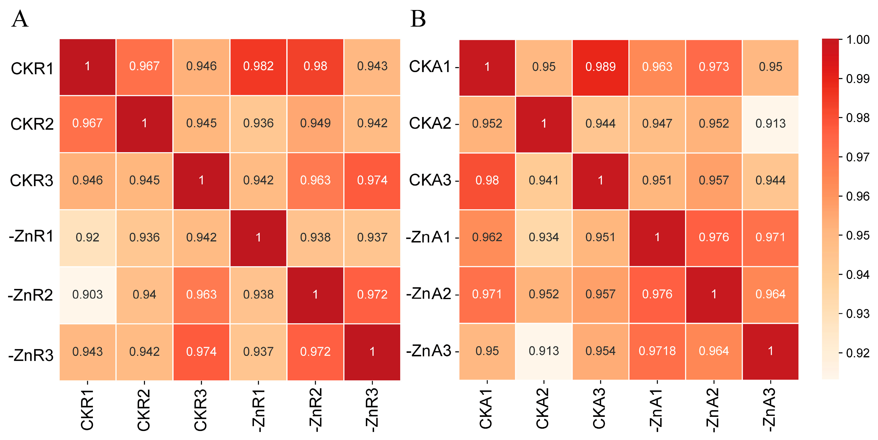 Biology 14 00985 g004