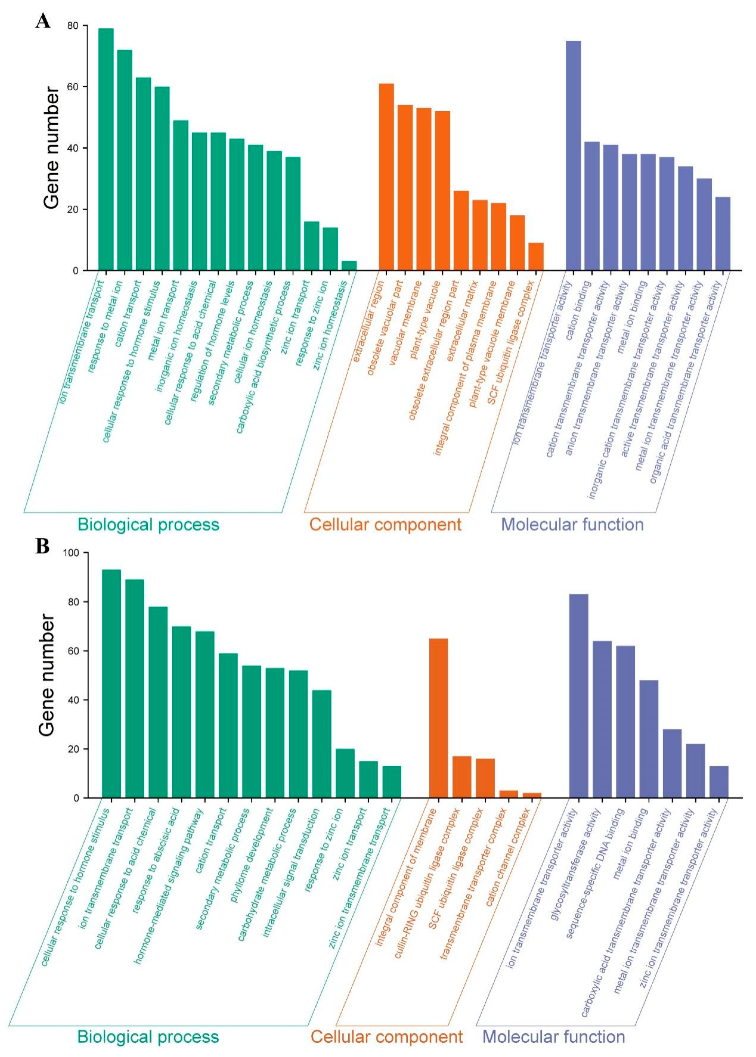 Biology 14 00985 g006