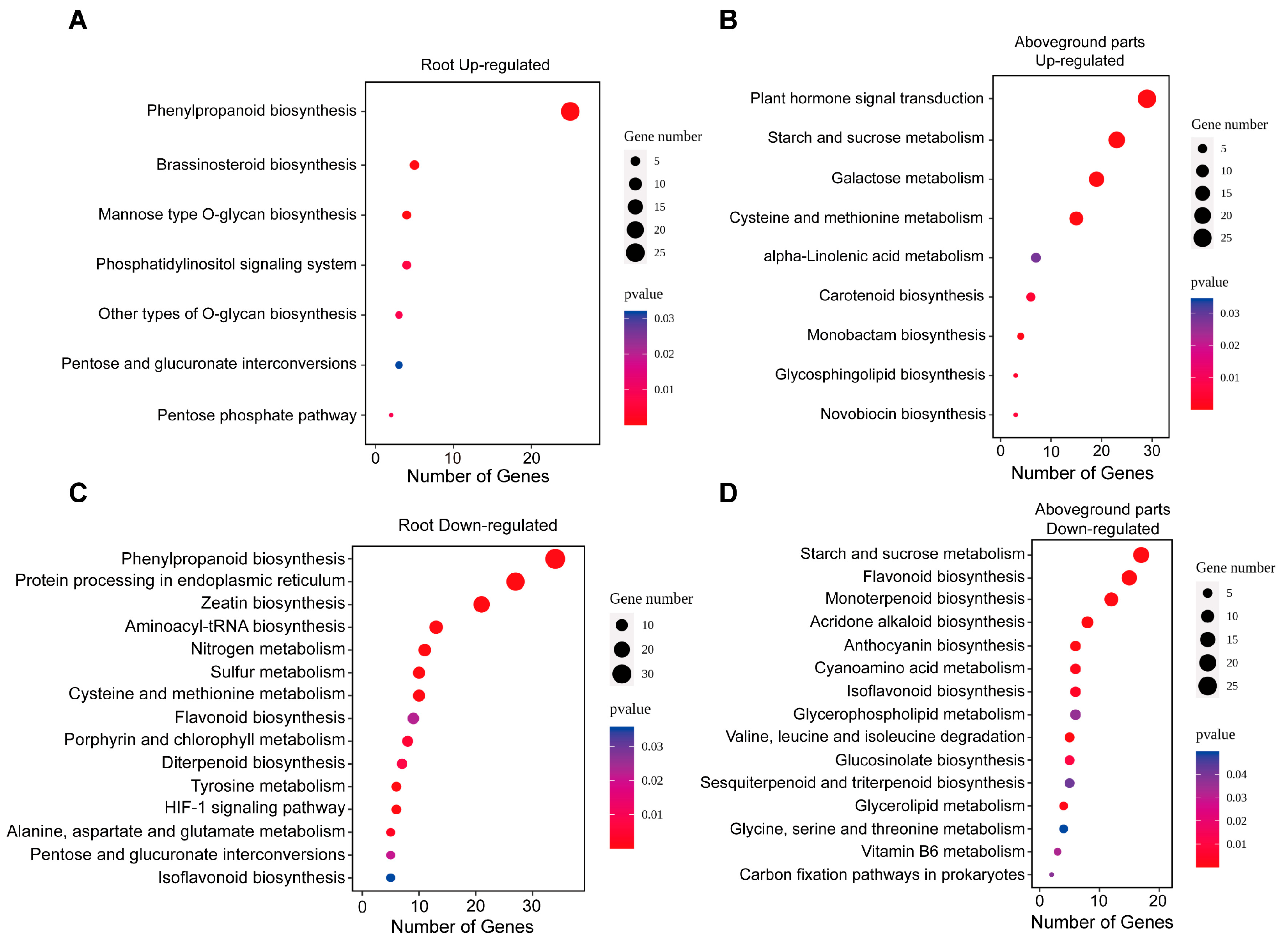 Biology 14 00985 g007