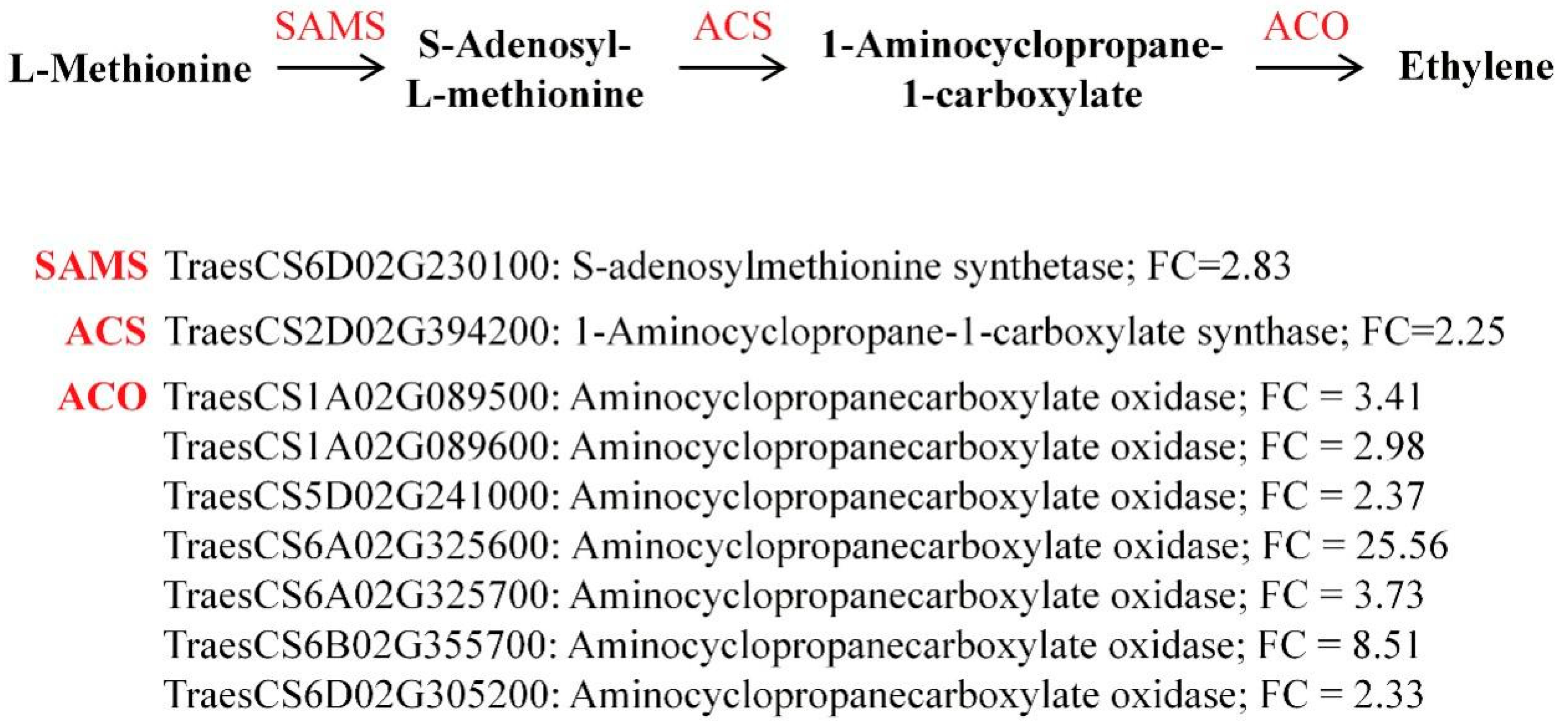 Biology 14 00985 g009