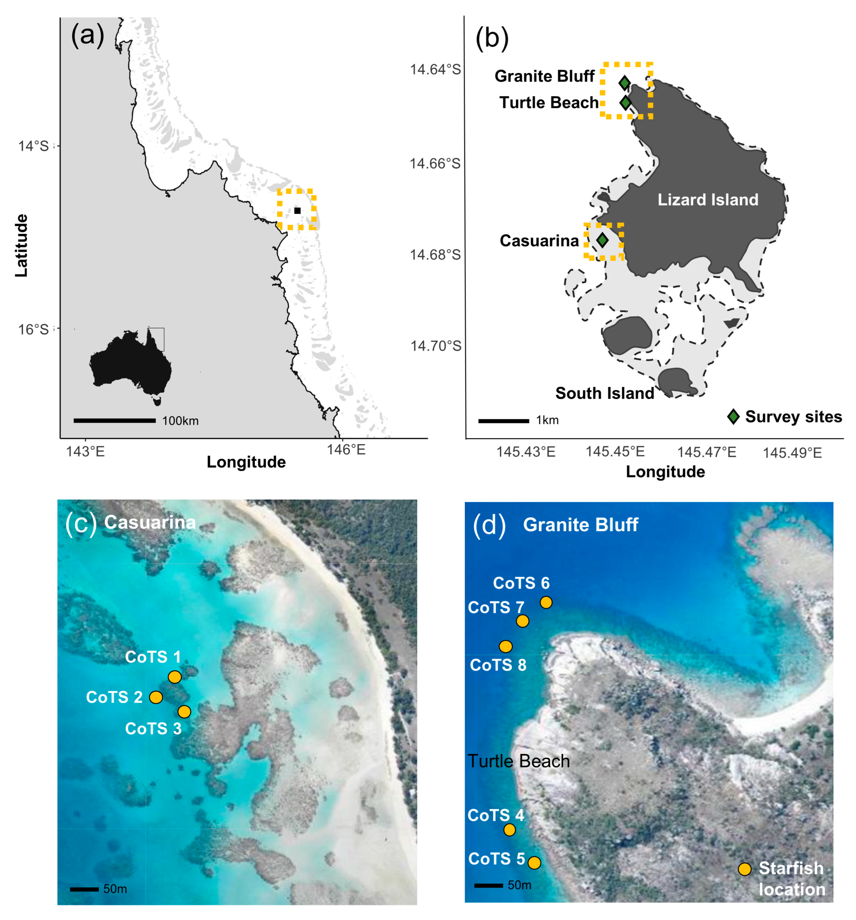 Biology 14 01001 g001 Biology 14 01001 g001