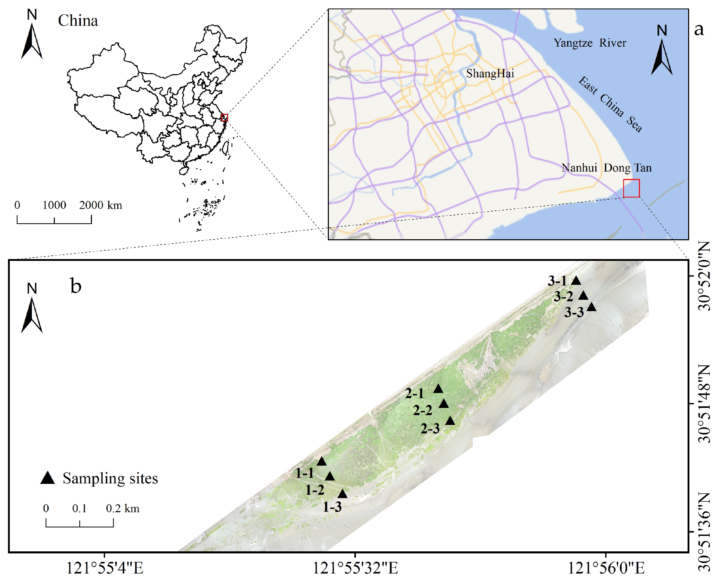 Biology 14 01013 g001 Biology 14 01013 g001
