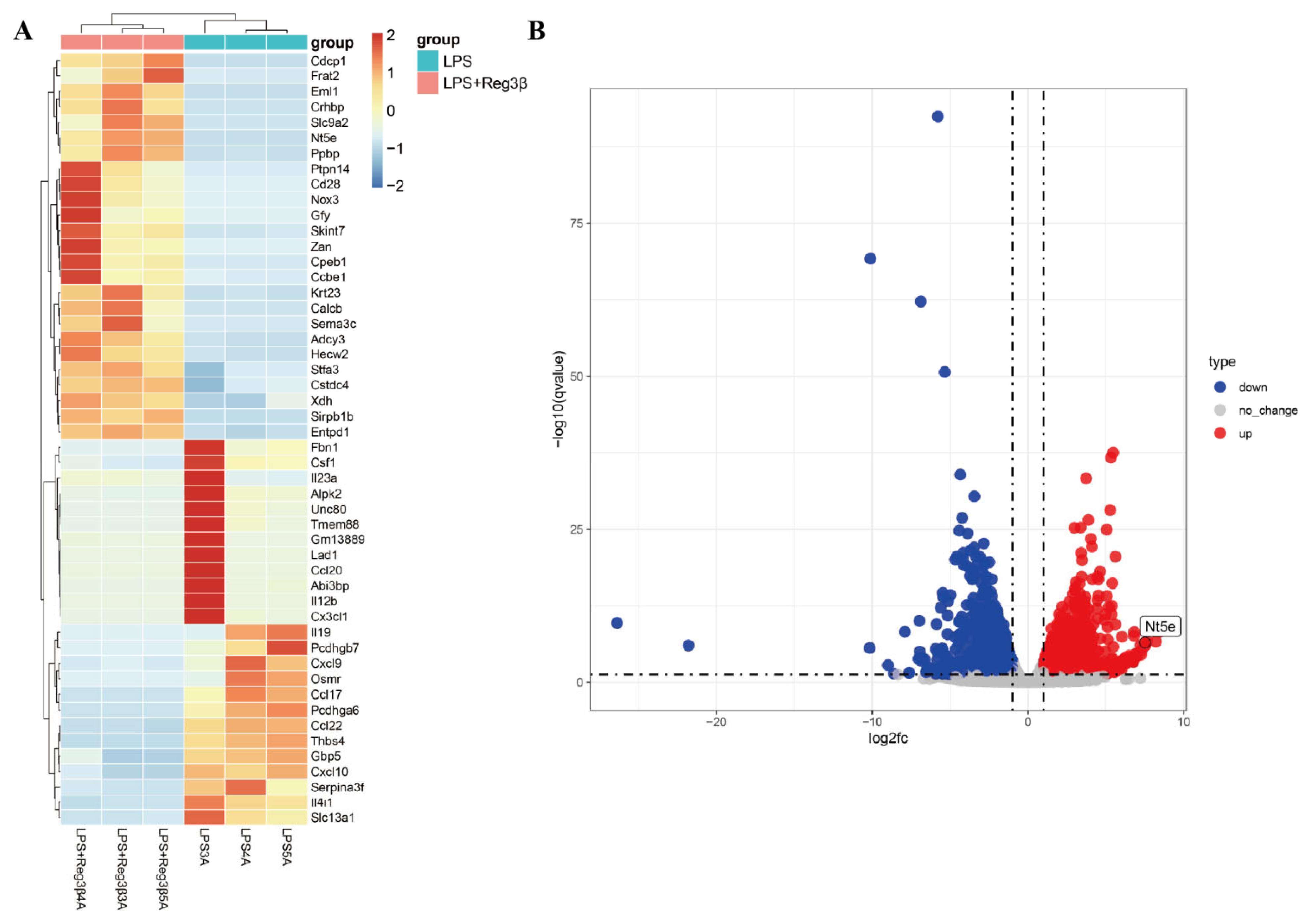 Biology 14 01017 g001 Biology 14 01017 g001
