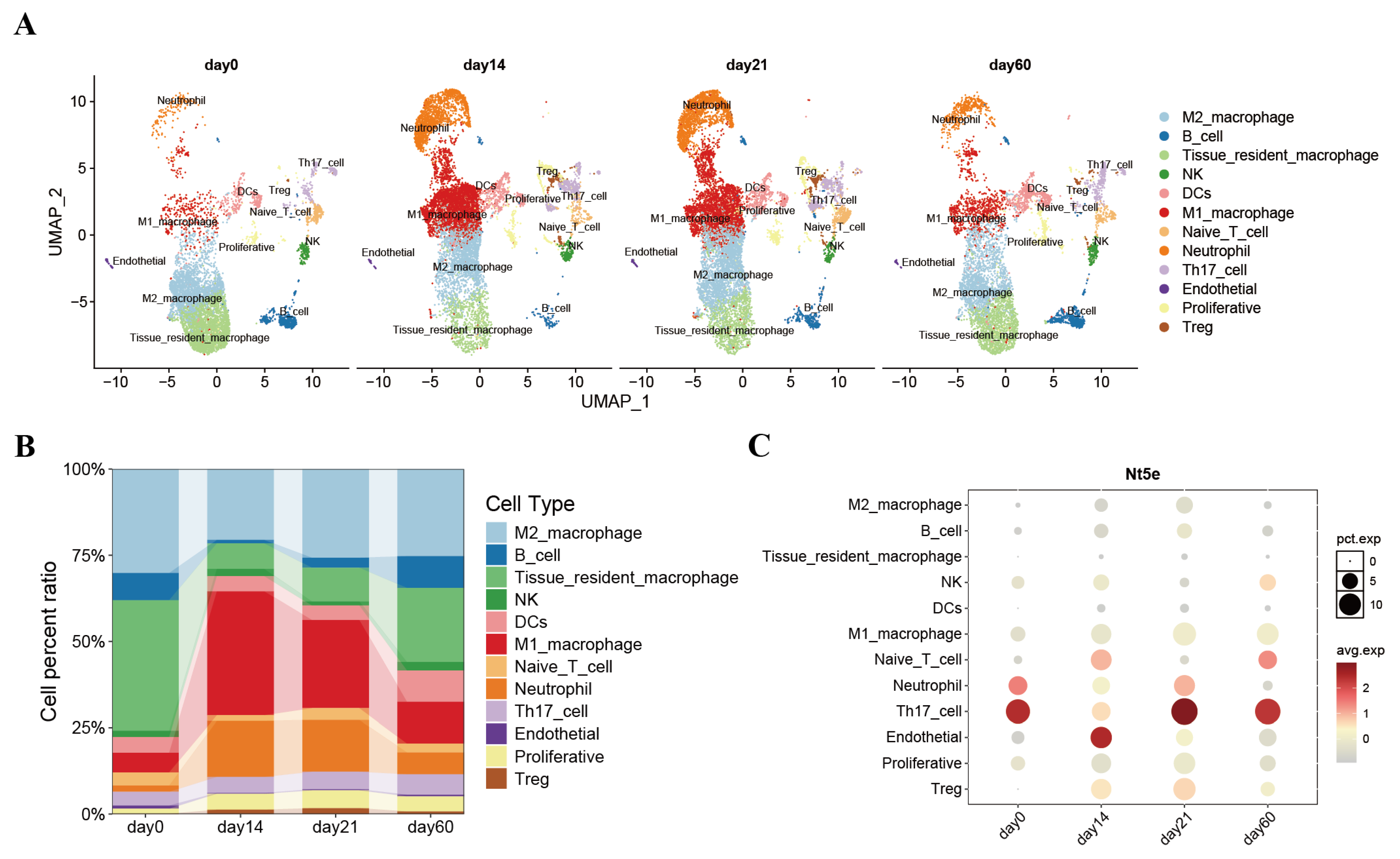 Biology 14 01017 g002 Biology 14 01017 g002