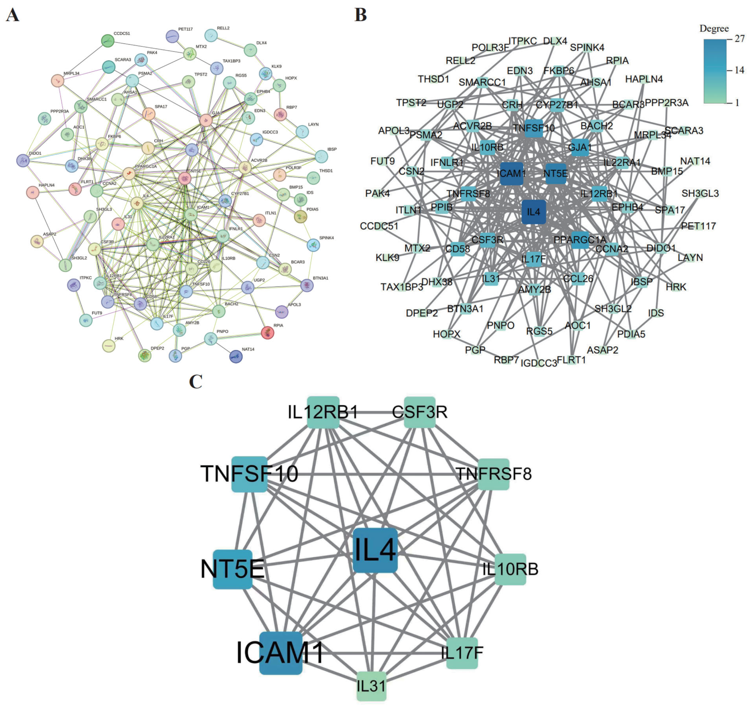 Biology 14 01017 g009 Biology 14 01017 g009