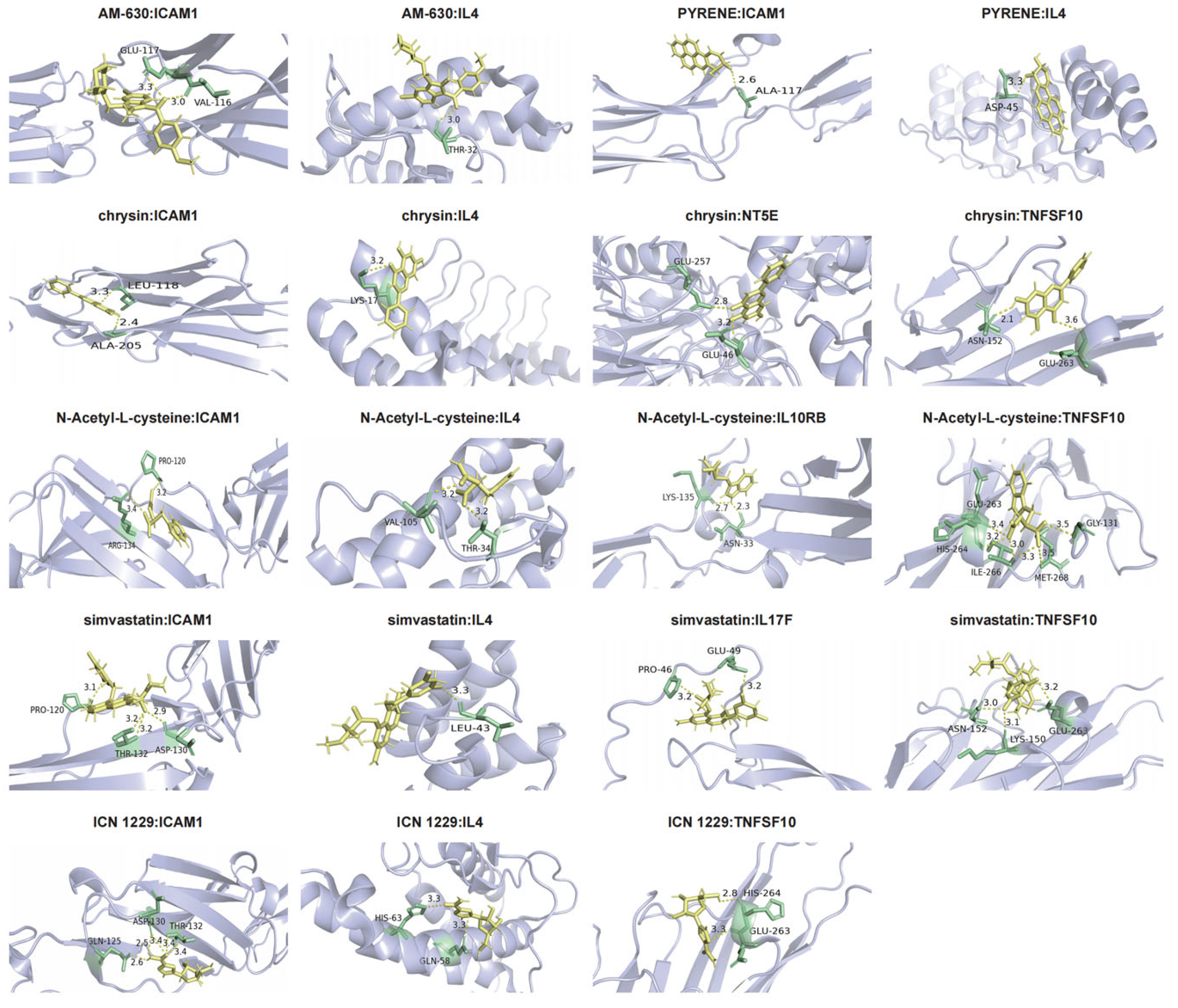 Biology 14 01017 g011 Biology 14 01017 g011