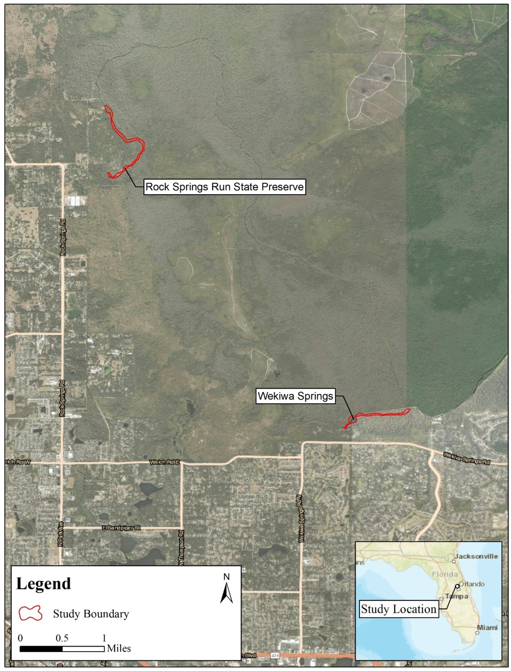 Biology 14 01018 g001 Biology 14 01018 g001