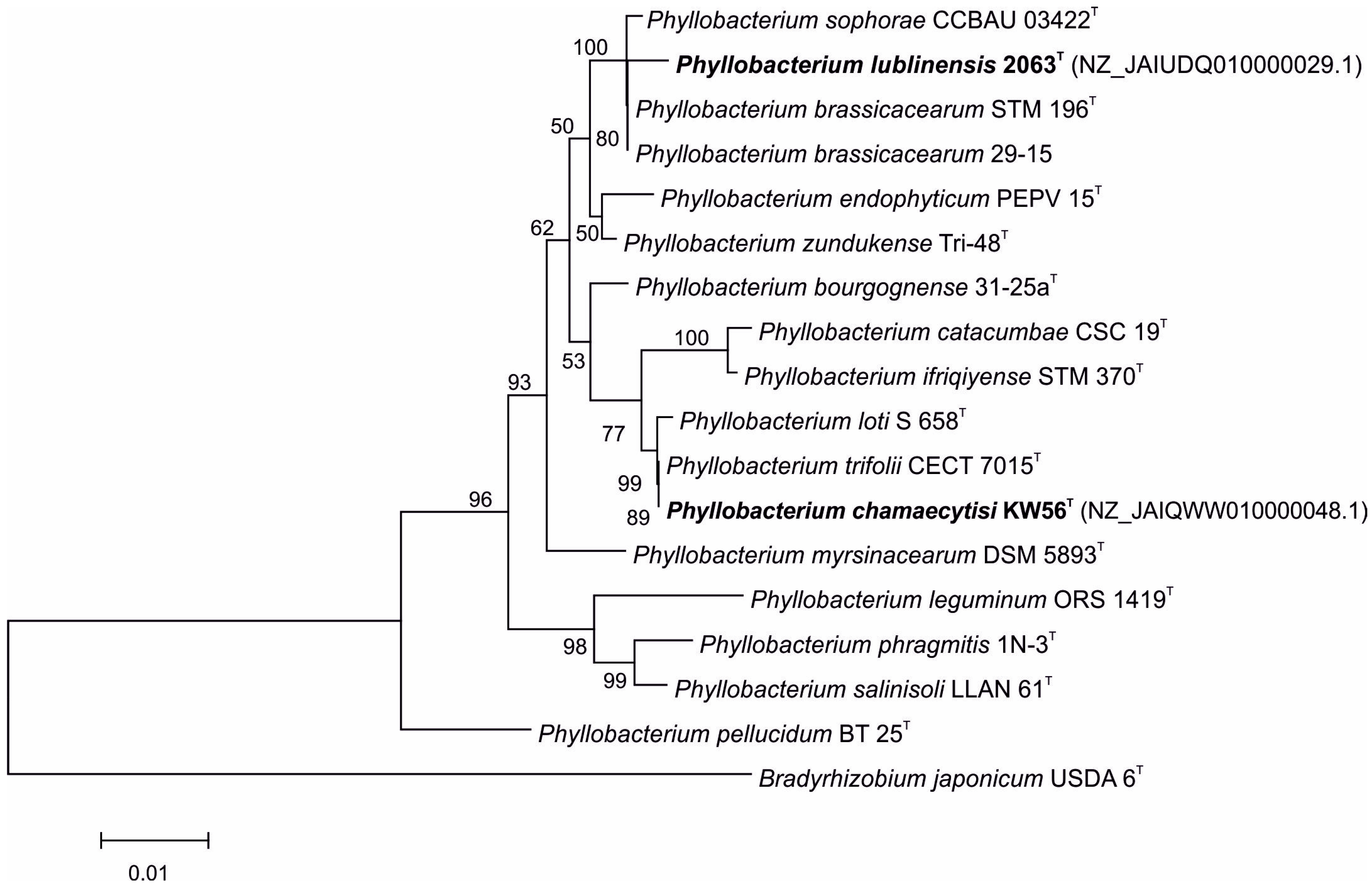 Biology 14 01024 g001 Biology 14 01024 g001