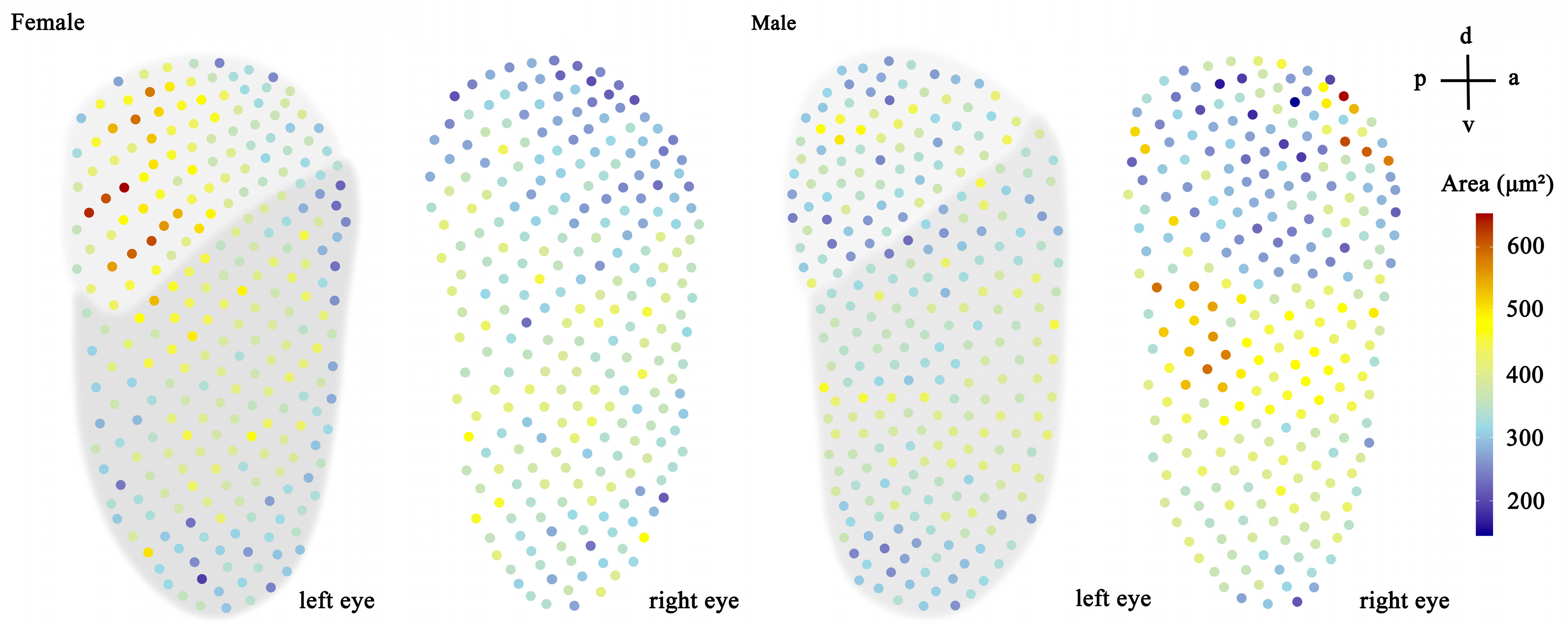 Biology 14 01032 g002