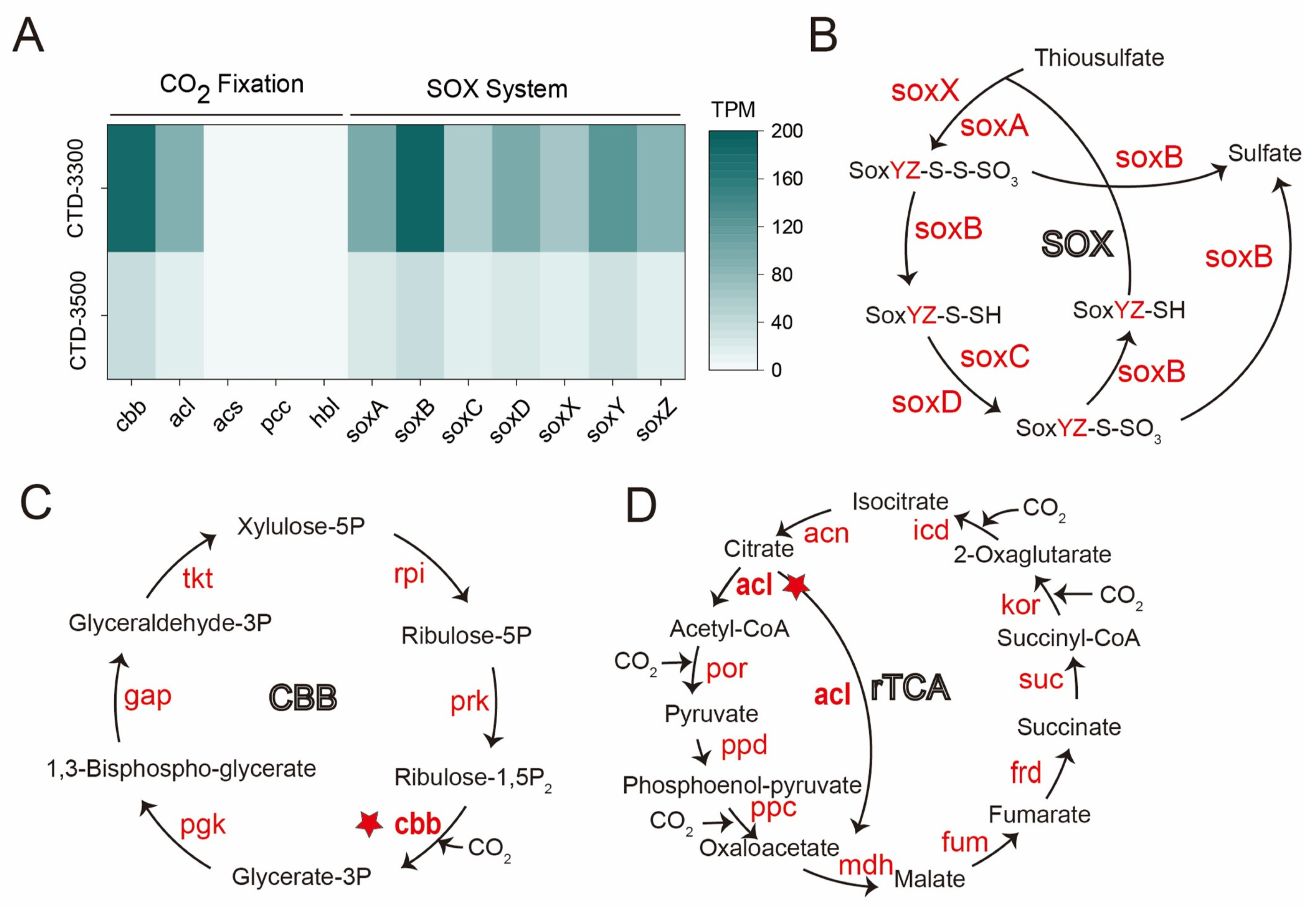 Biology 14 01036 g004